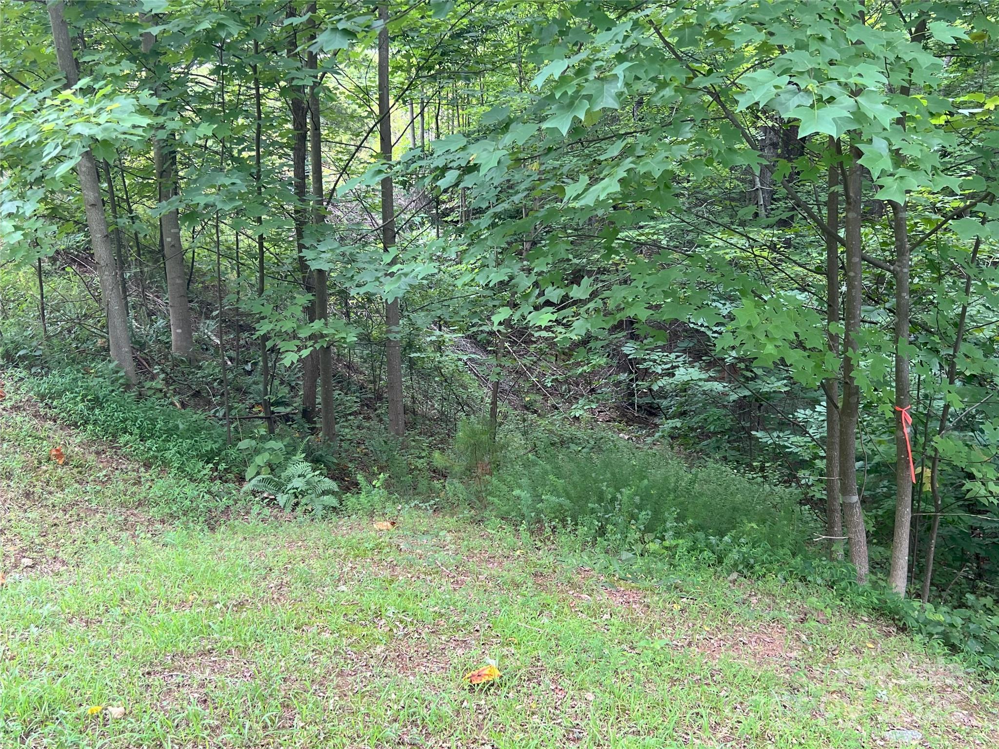 00 Deep Gap Road 97 Property Photo 7