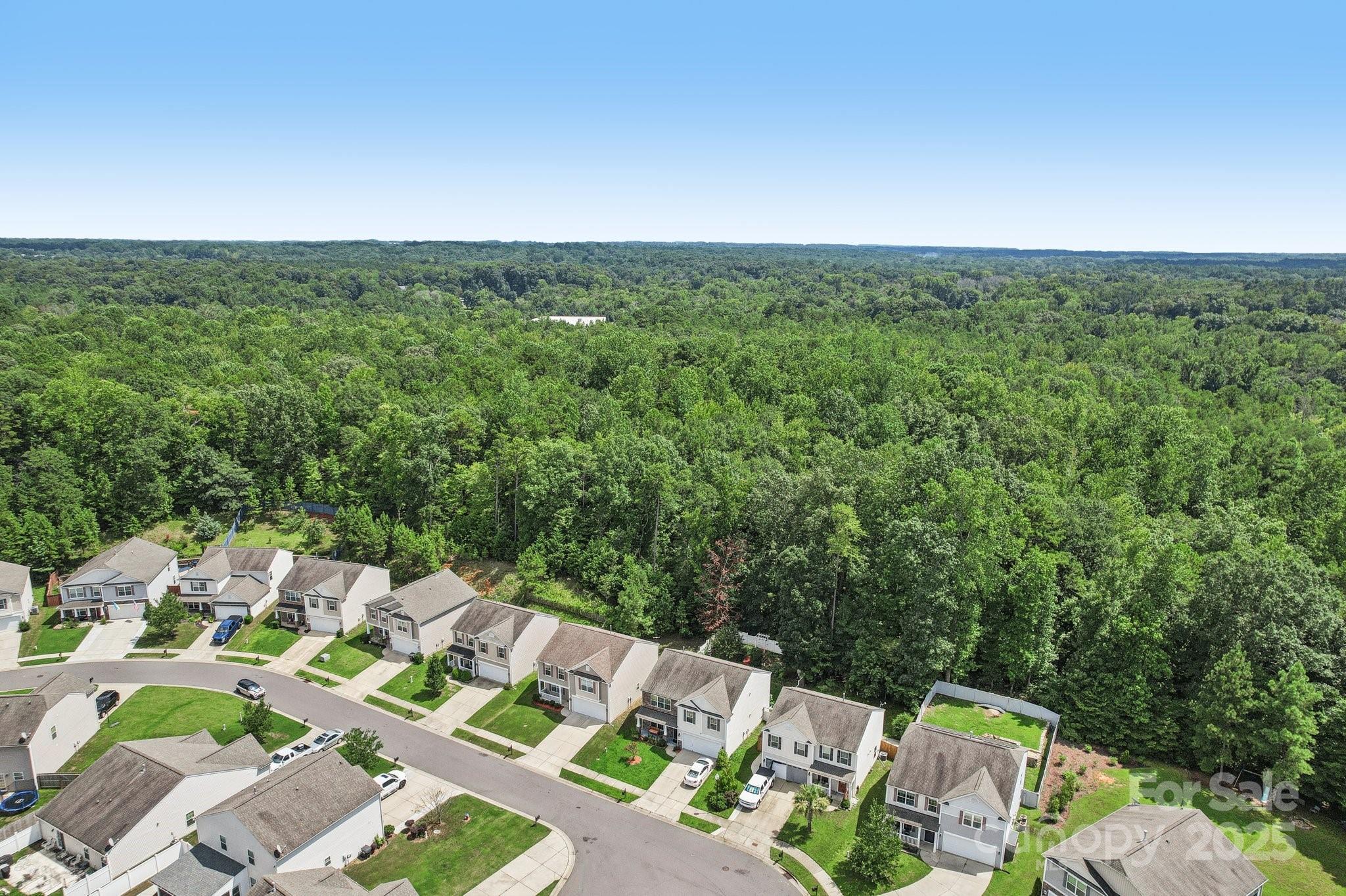 2289 Reid Pointe Avenue Property Photo 39