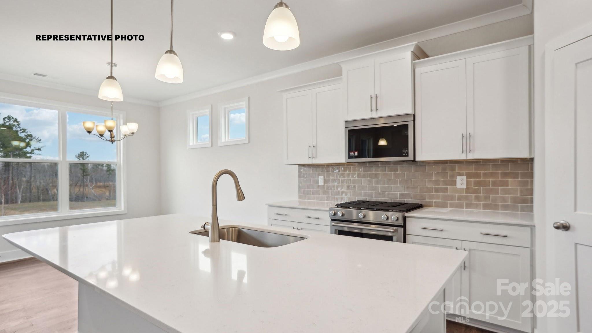 2069 Skyhawk Drive Property Photo 4