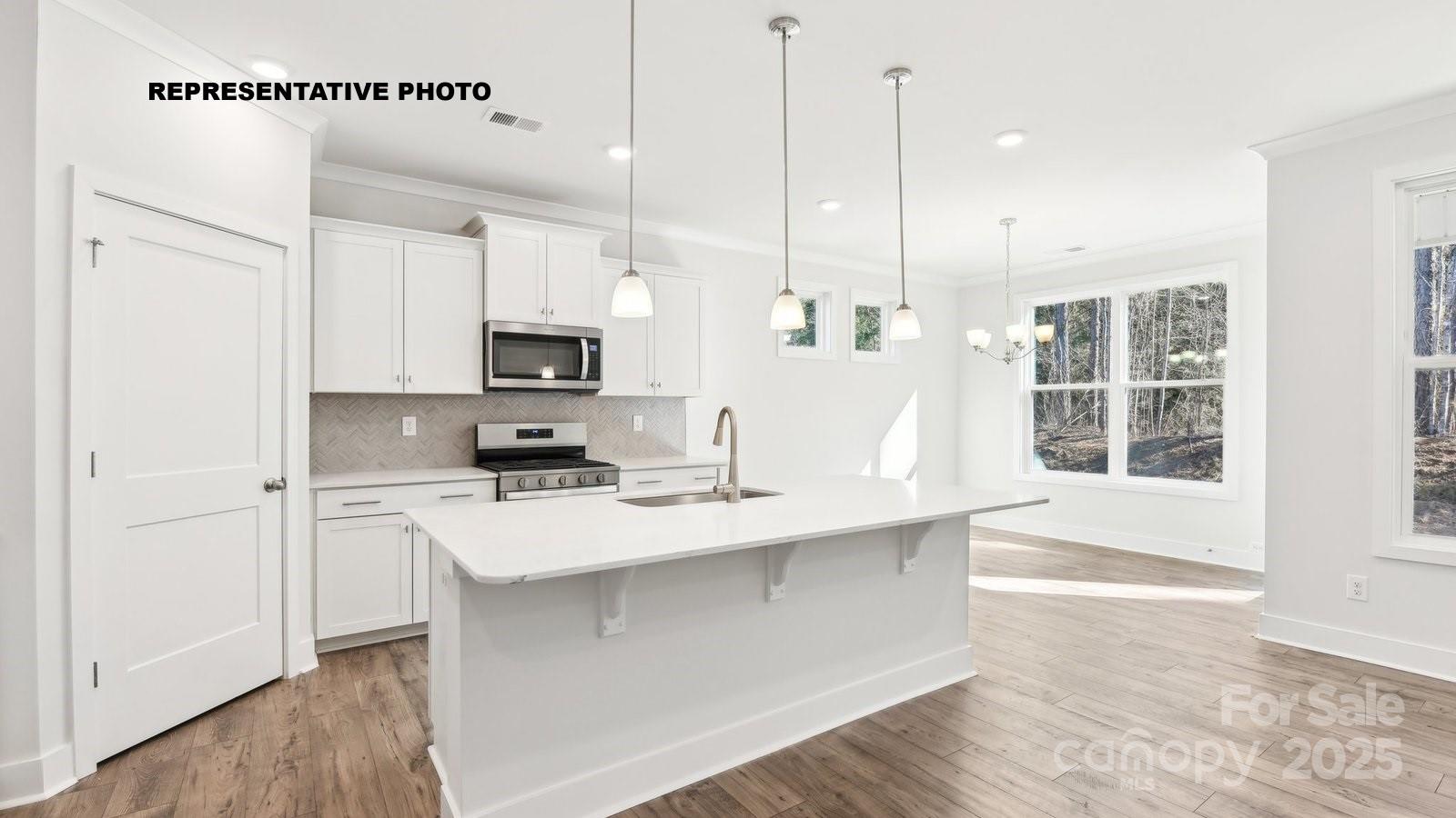 2069 Skyhawk Drive Property Photo 5