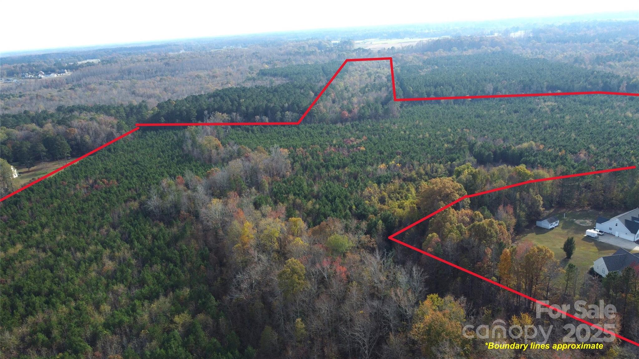 2351 Reges Store Road Property Photo 12