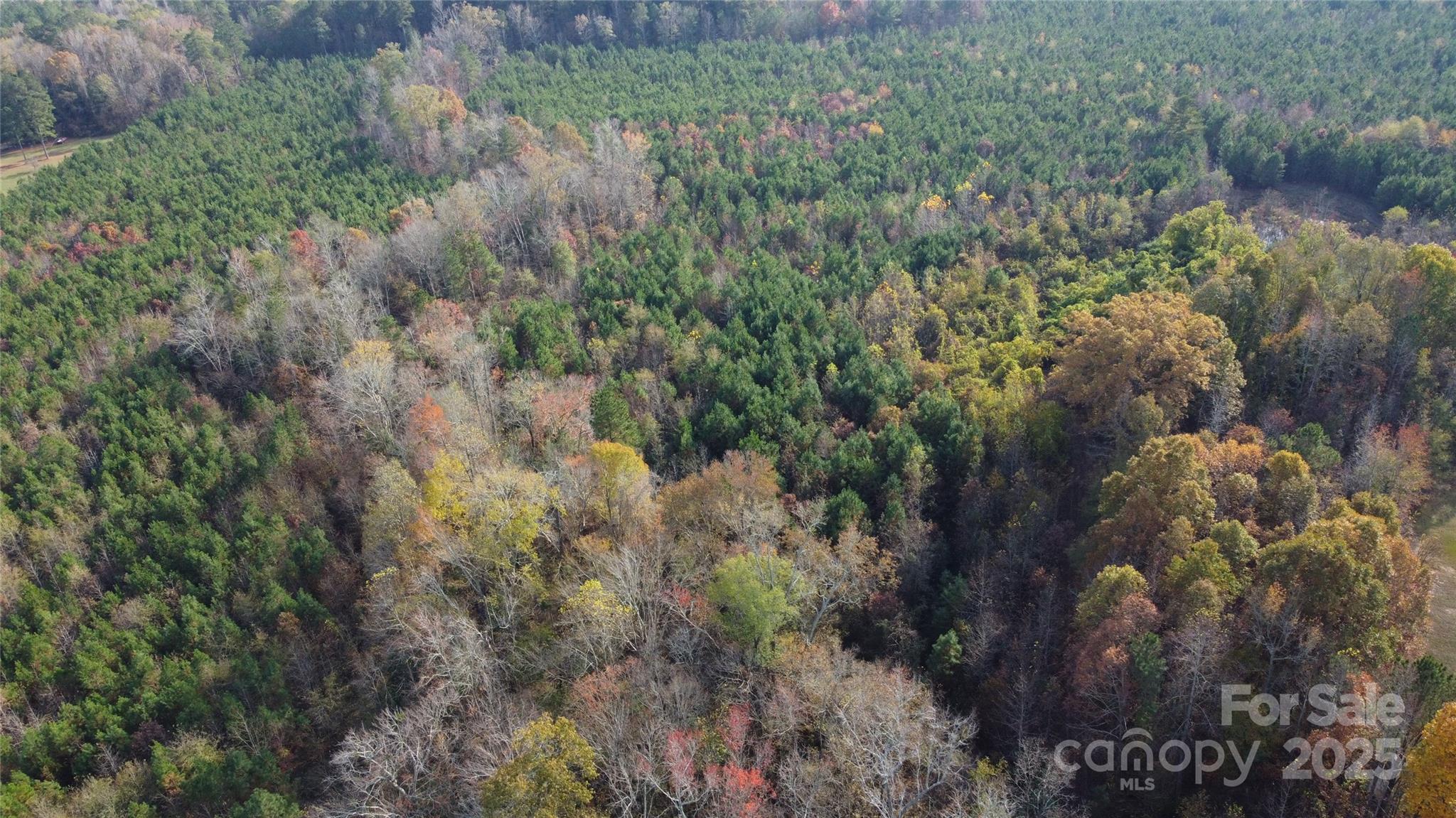 2351 Reges Store Road Property Photo 13