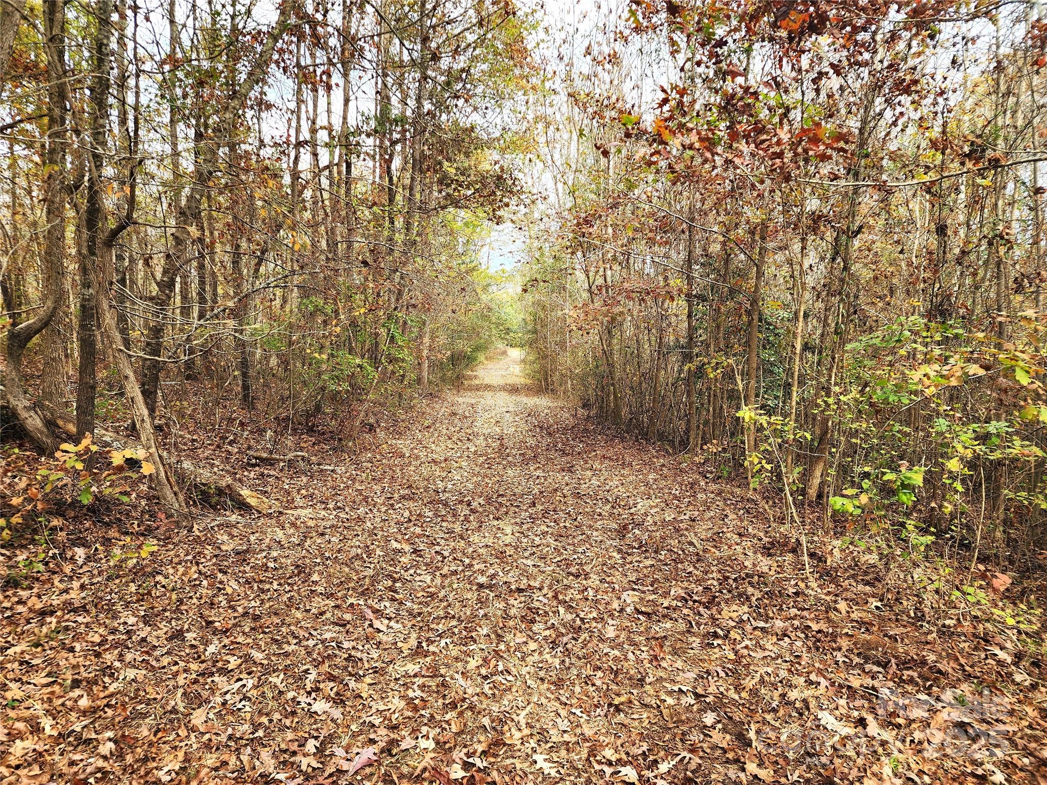 2351 Reges Store Road Property Photo 14