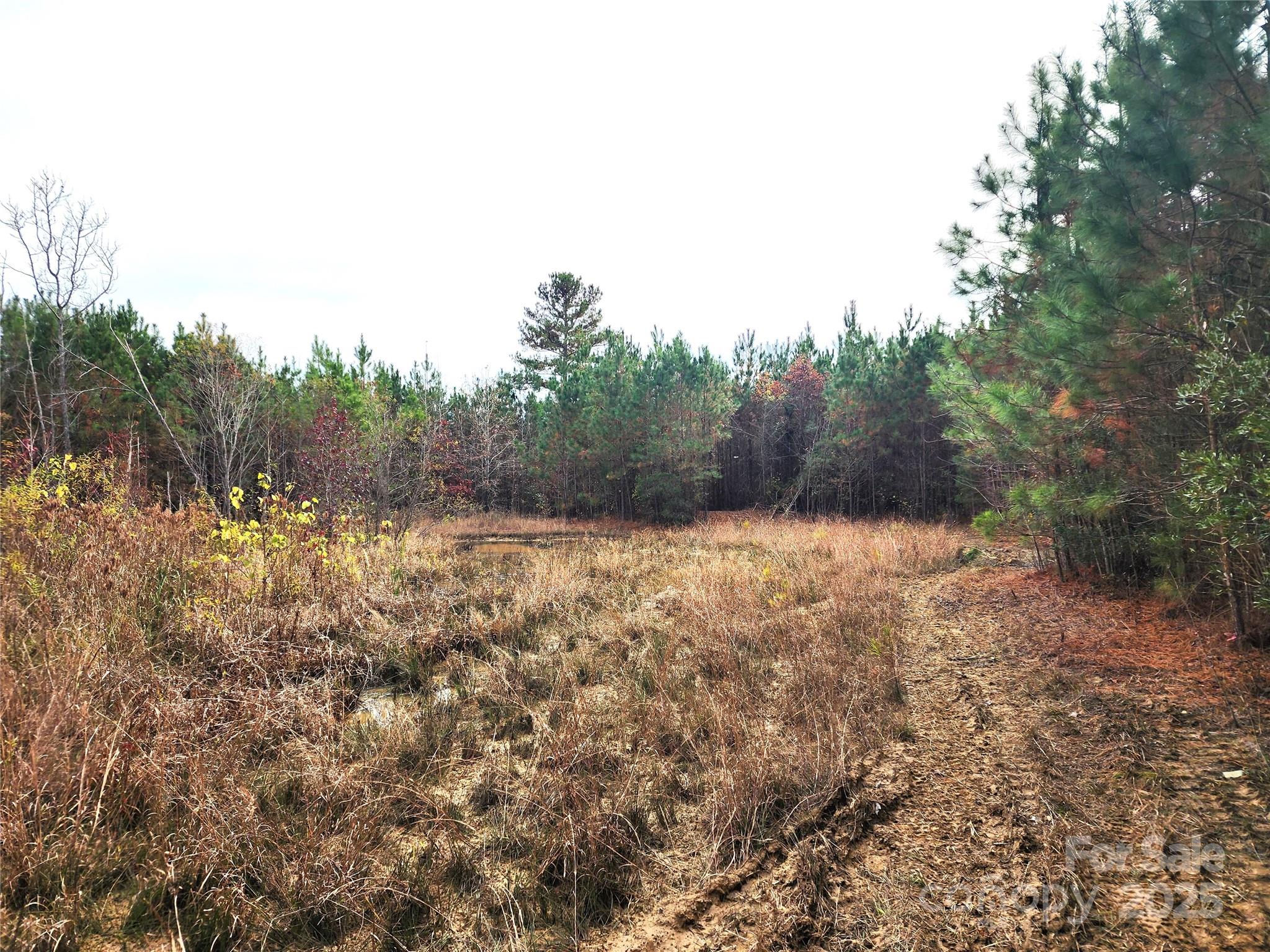 2351 Reges Store Road Property Photo 15