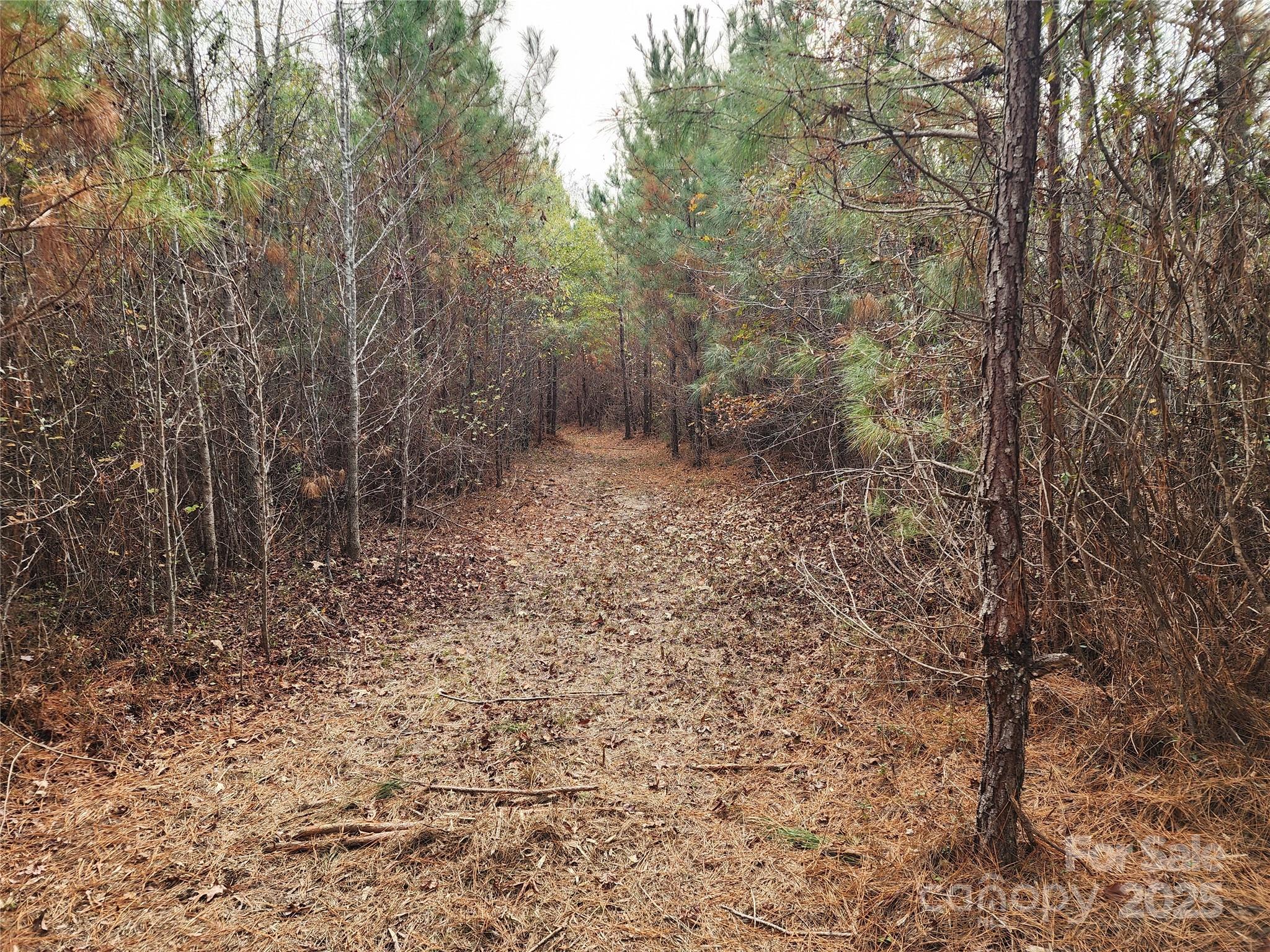 2351 Reges Store Road Property Photo 16