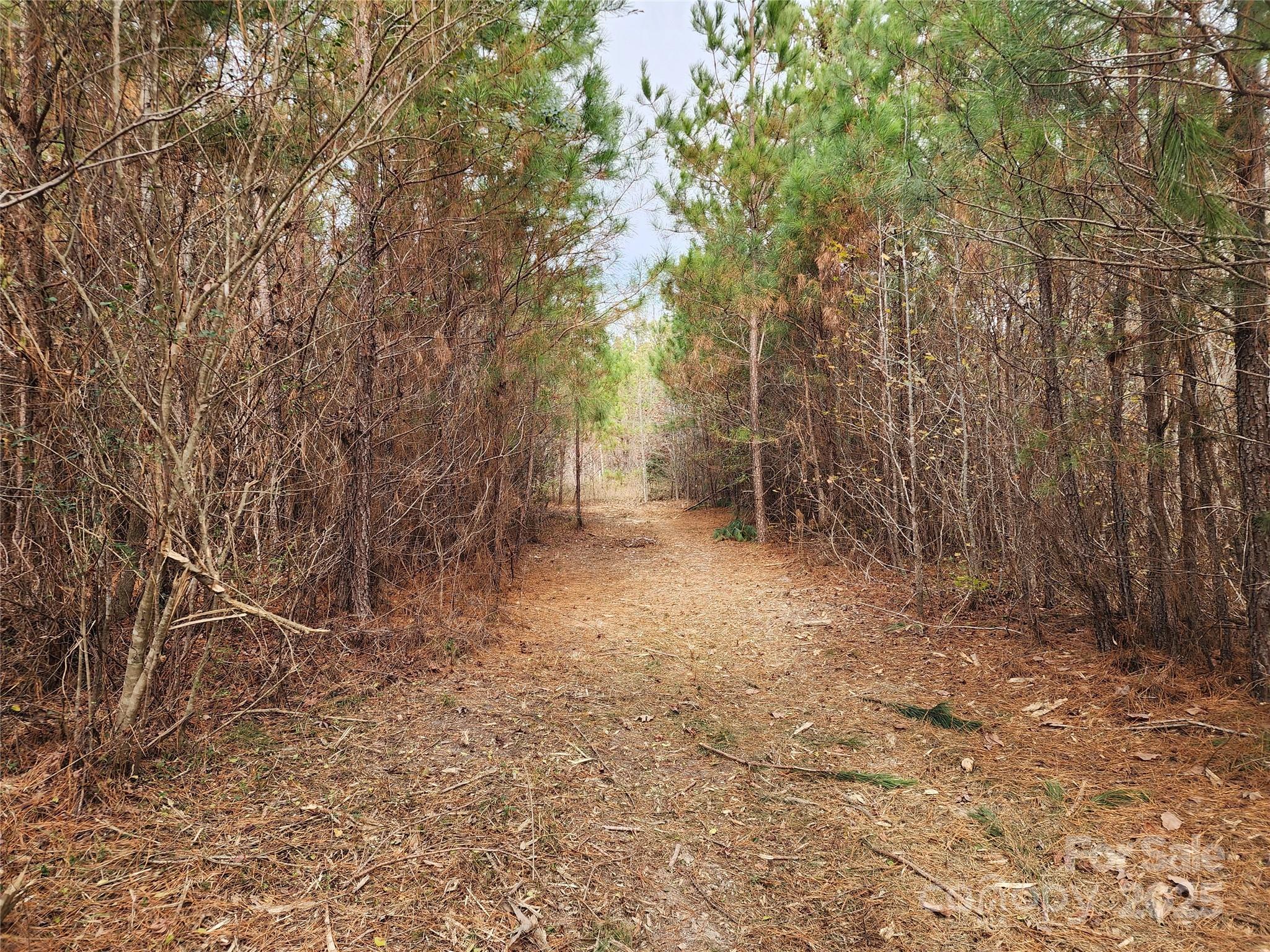 2351 Reges Store Road Property Photo 17