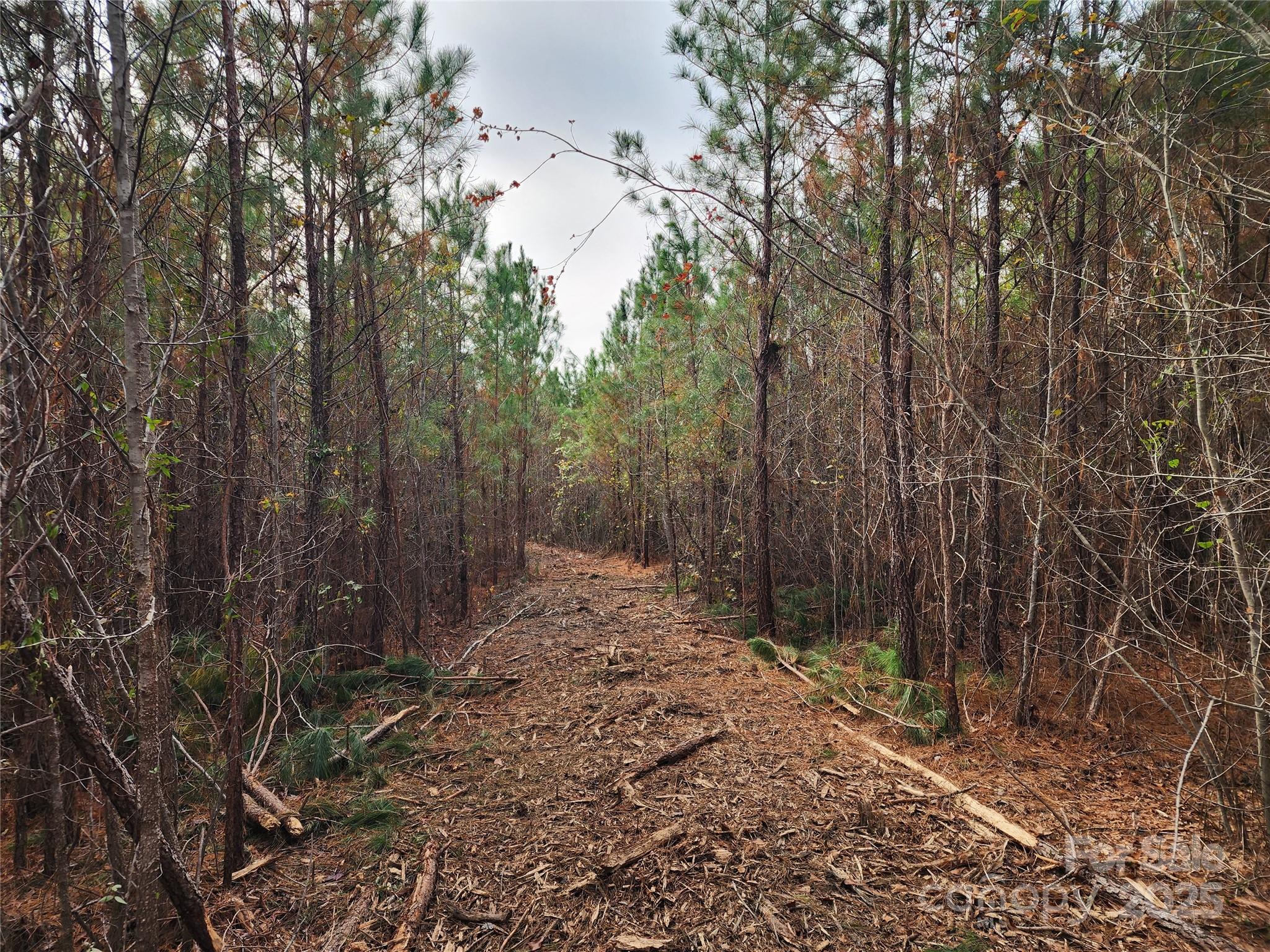 2351 Reges Store Road Property Photo 18