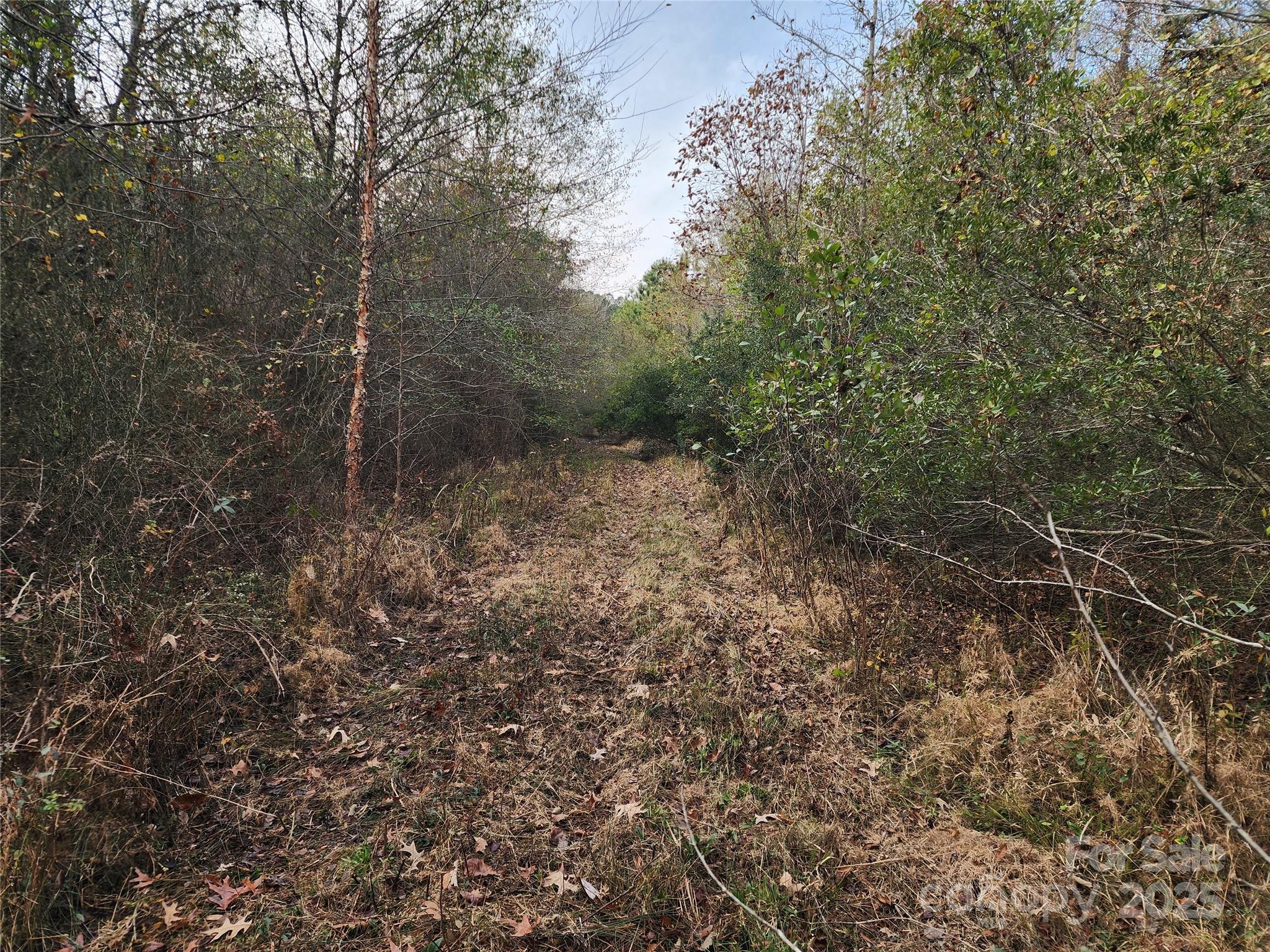 2351 Reges Store Road Property Photo 19