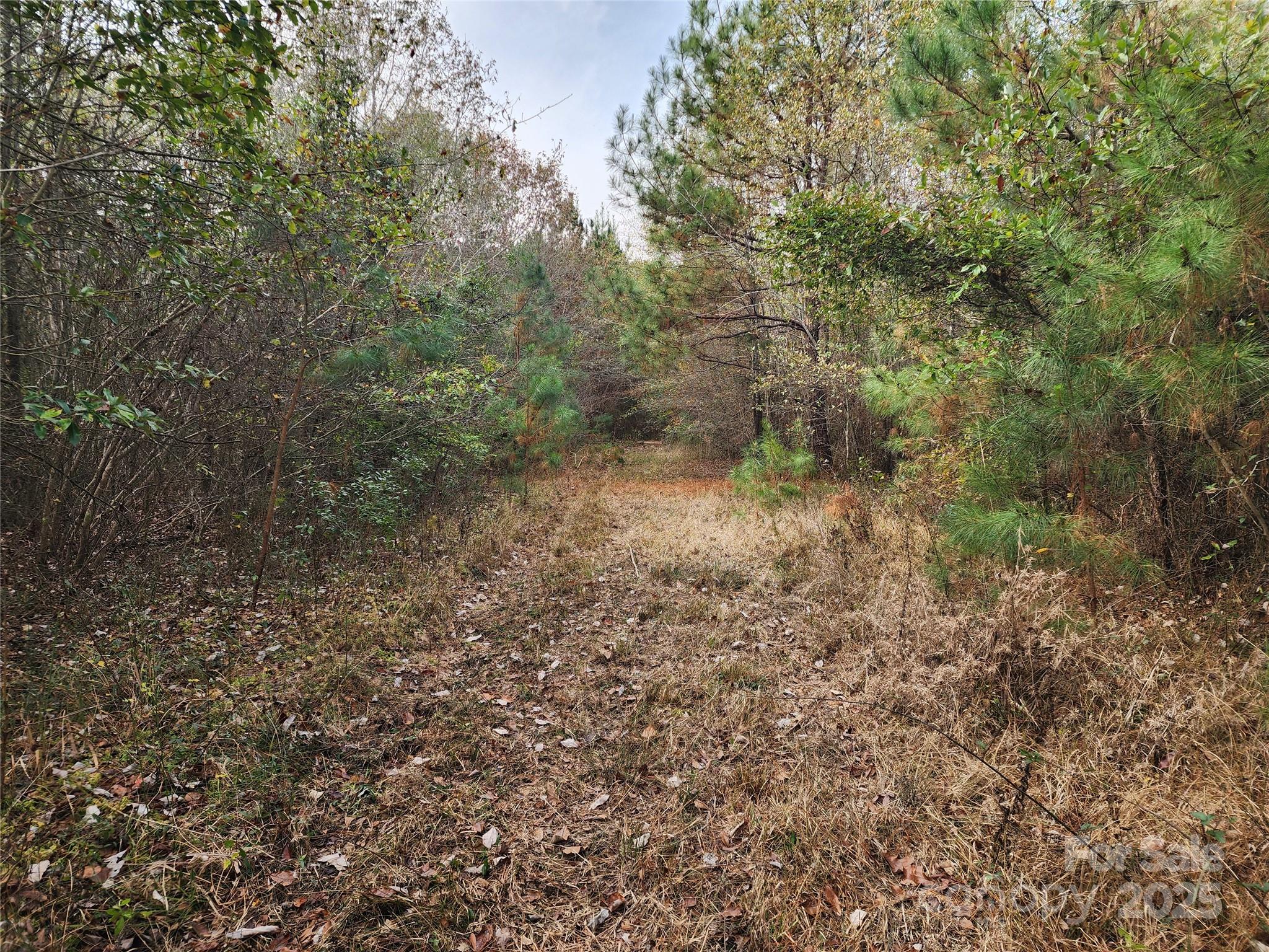 2351 Reges Store Road Property Photo 21