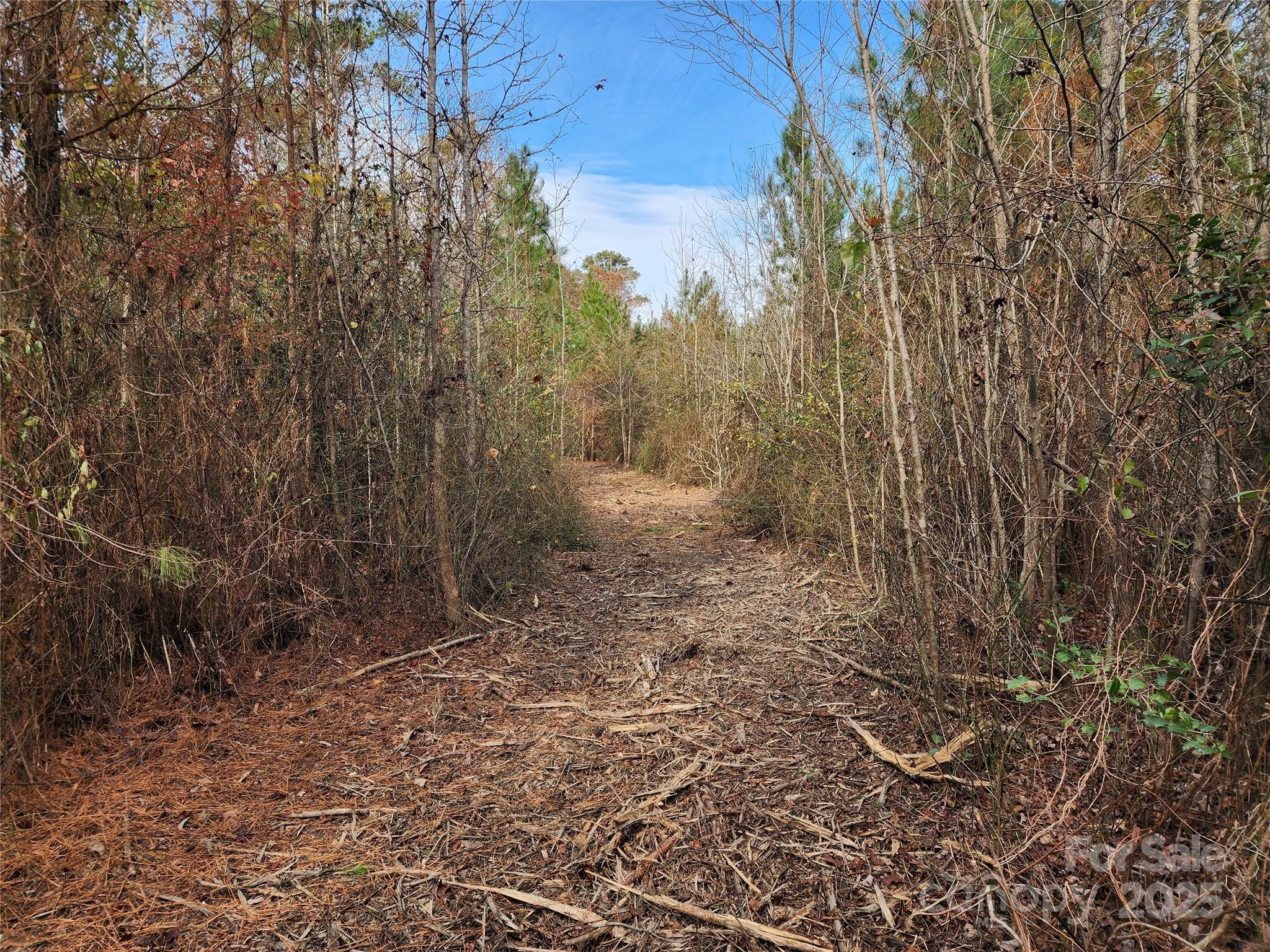 2351 Reges Store Road Property Photo 22