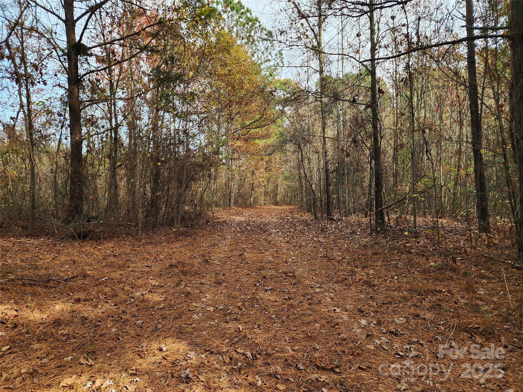 2351 Reges Store Road Property Photo 25