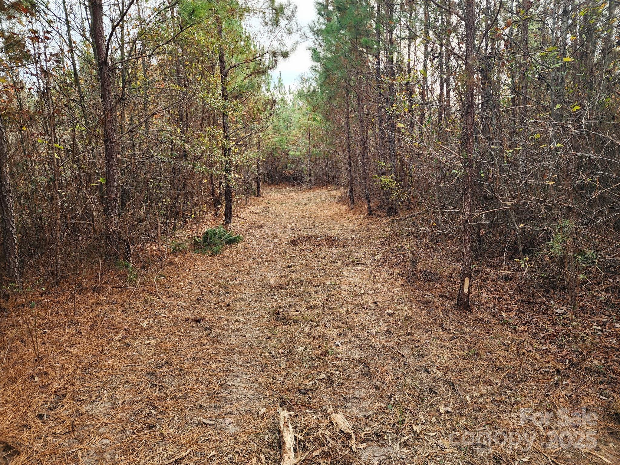 2351 Reges Store Road Property Photo 27