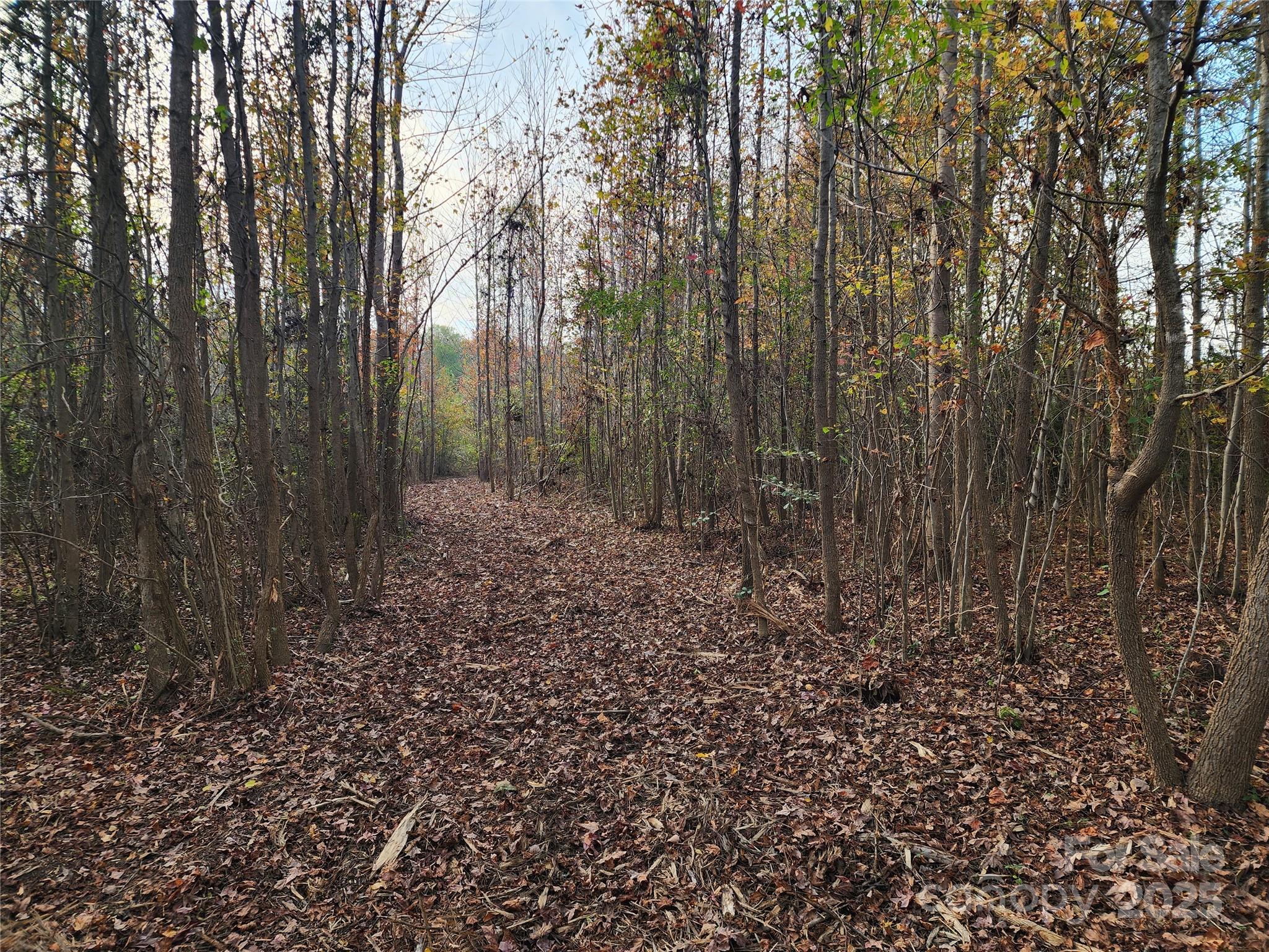 2351 Reges Store Road Property Photo 29