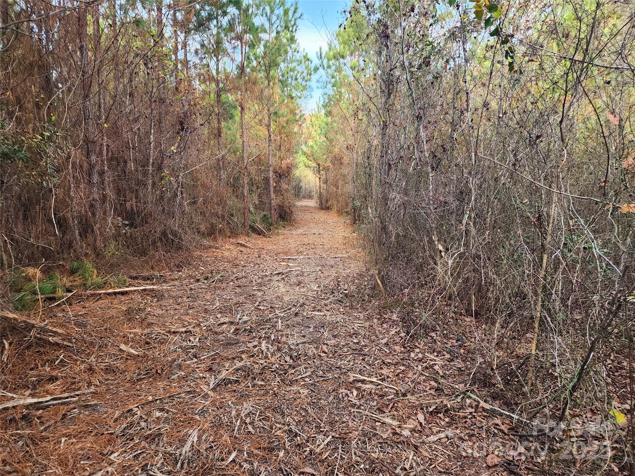 2351 Reges Store Road Property Photo 30