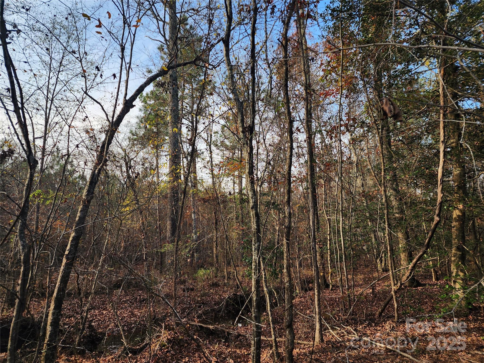 2351 Reges Store Road Property Photo 31