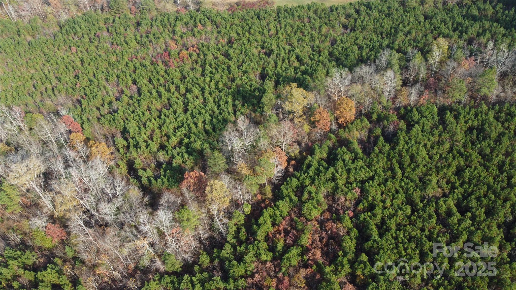 2351 Reges Store Road Property Photo 33