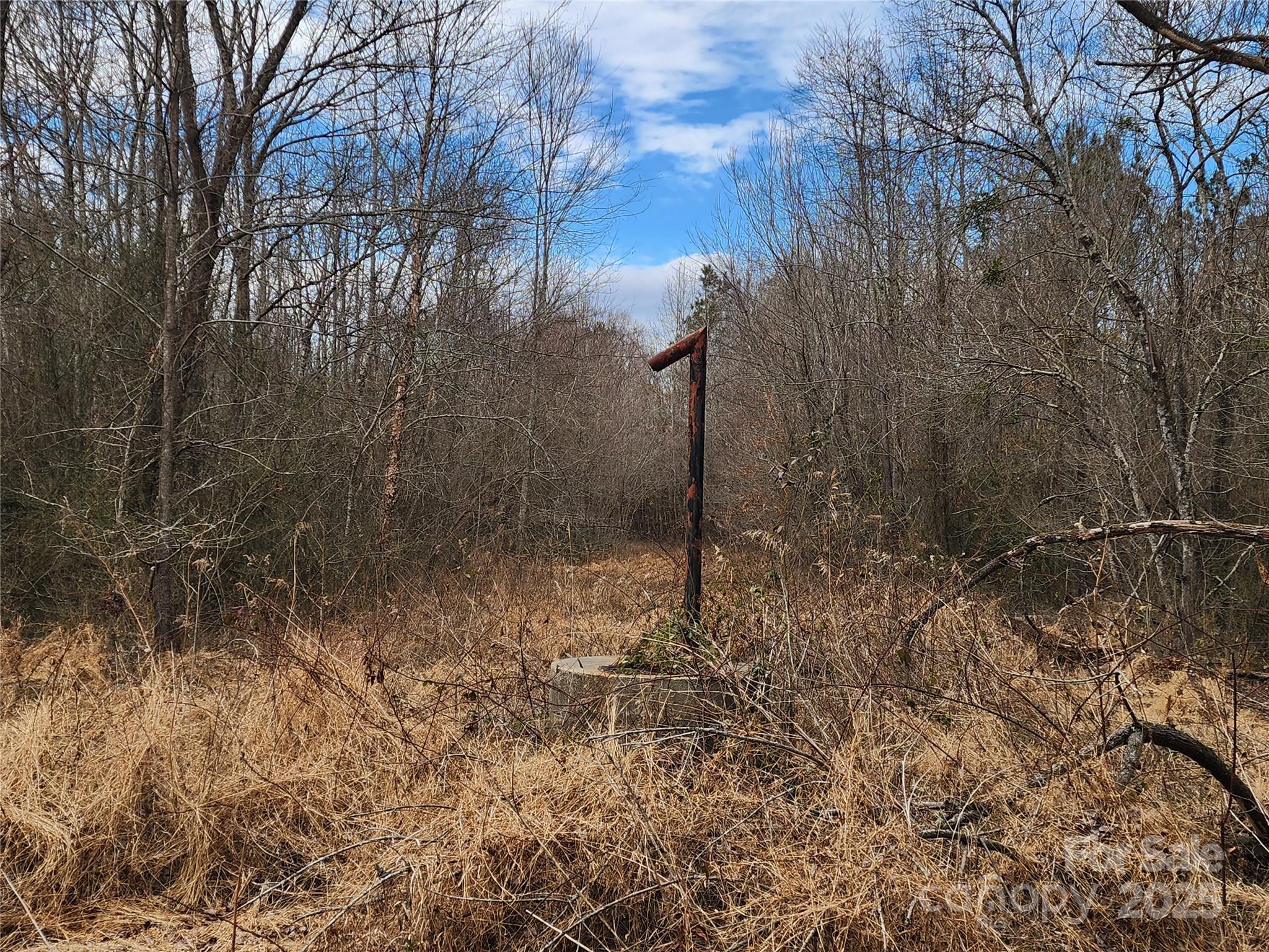 2351 Reges Store Road Property Photo 36