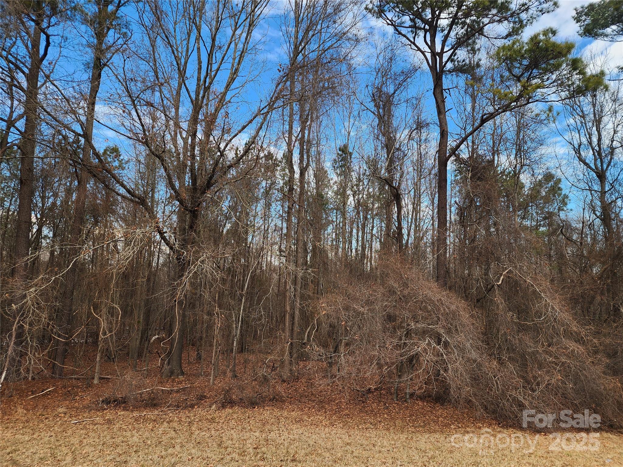 2351 Reges Store Road Property Photo 37