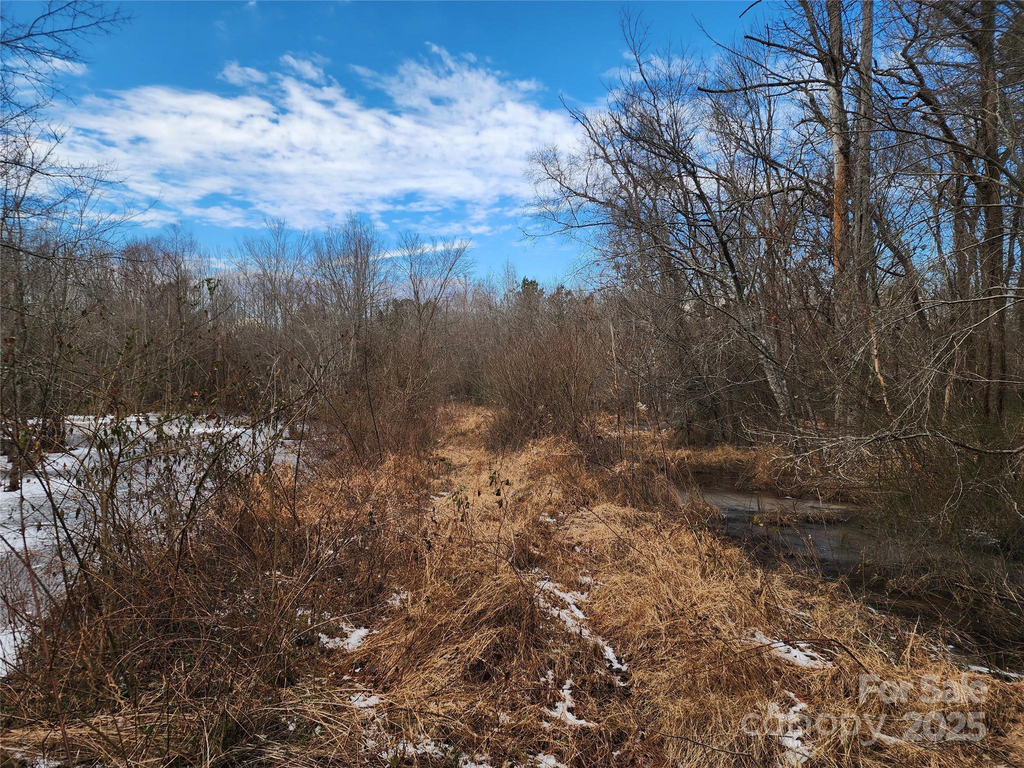 2351 Reges Store Road Property Photo 38