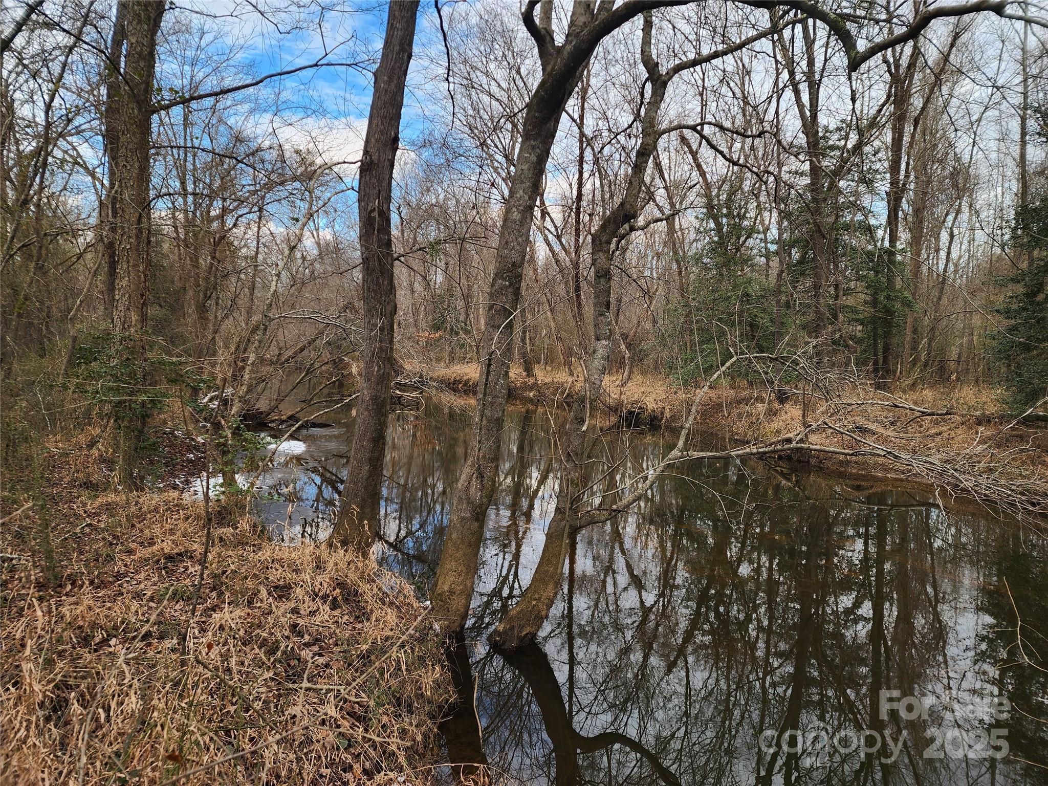 2351 Reges Store Road Property Photo 41