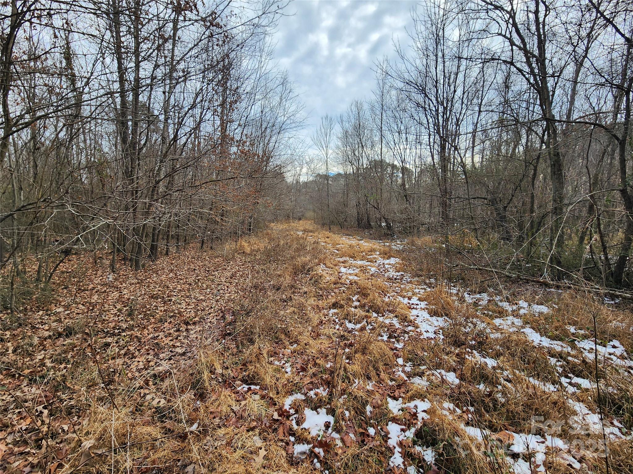 2351 Reges Store Road Property Photo 42