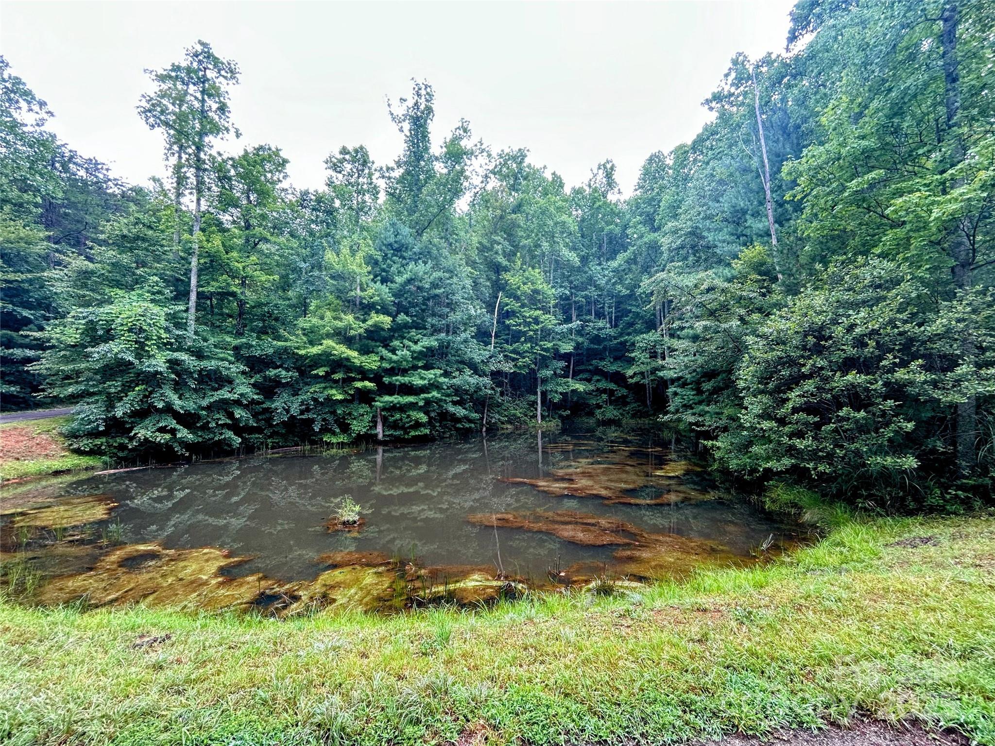Lot 6 Azalea Way Property Photo 2