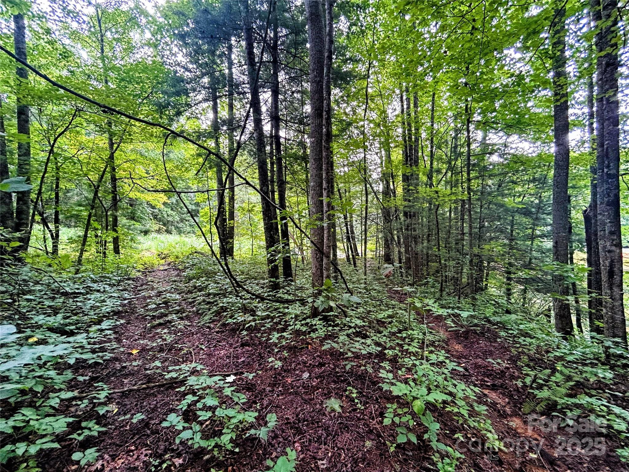 Lot 6 Azalea Way Property Photo 3