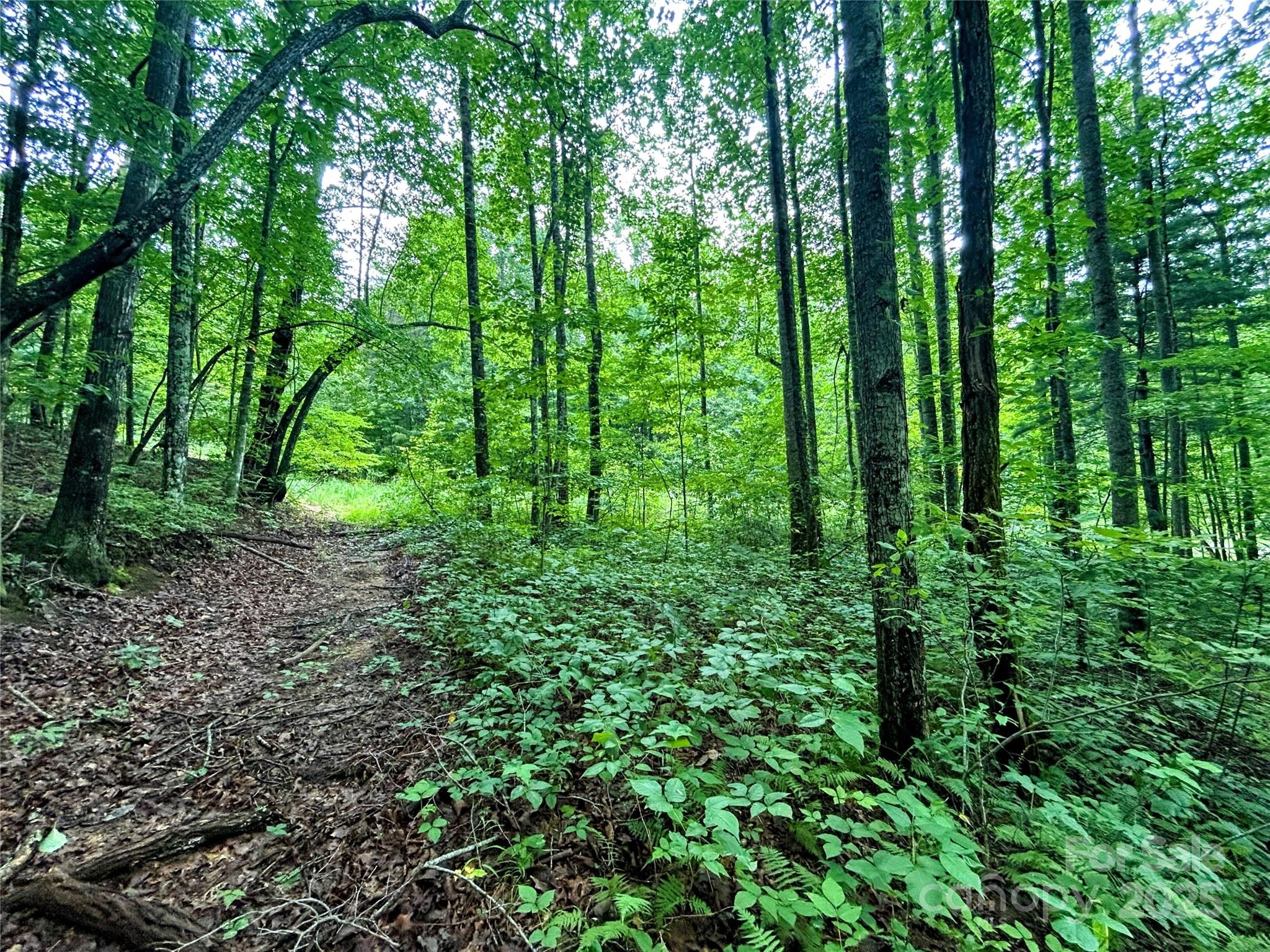 Lot 6 Azalea Way Property Photo 4