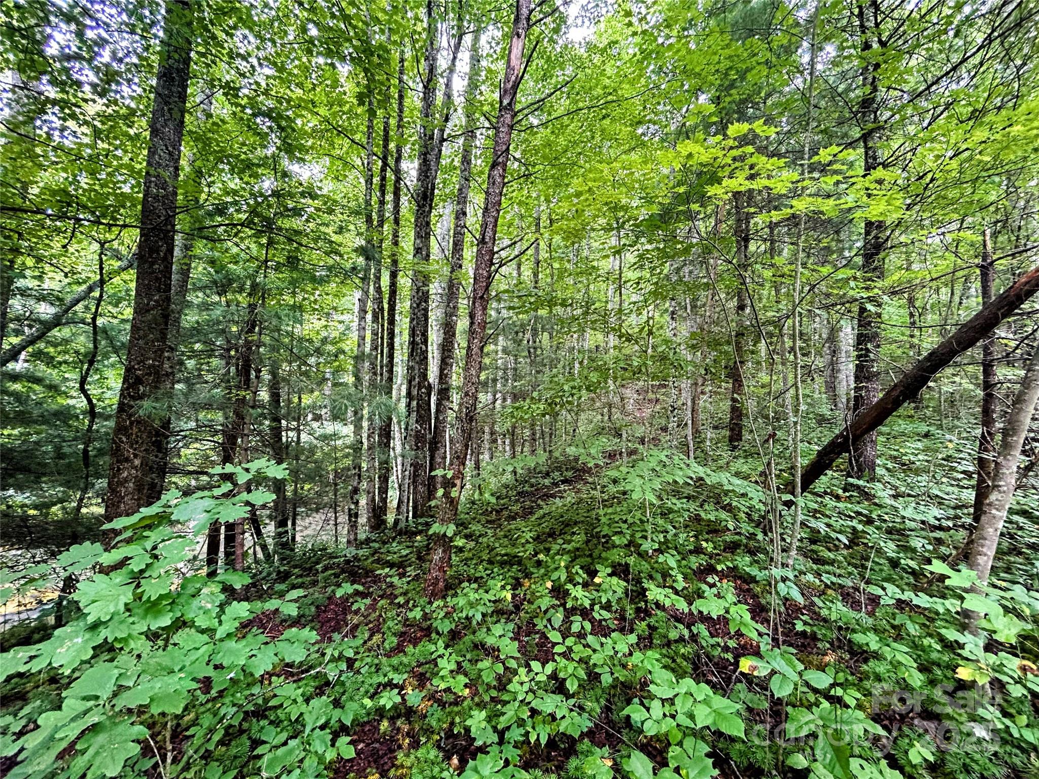 Lot 6 Azalea Way Property Photo 5