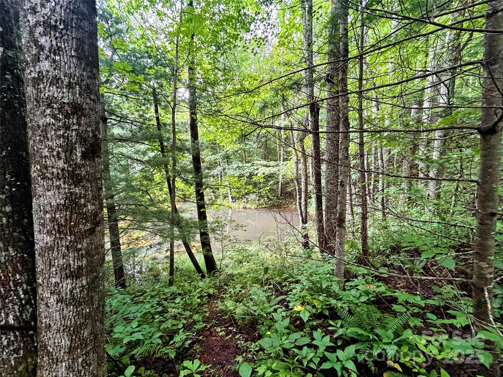 Lot 6 Azalea Way Property Photo 6
