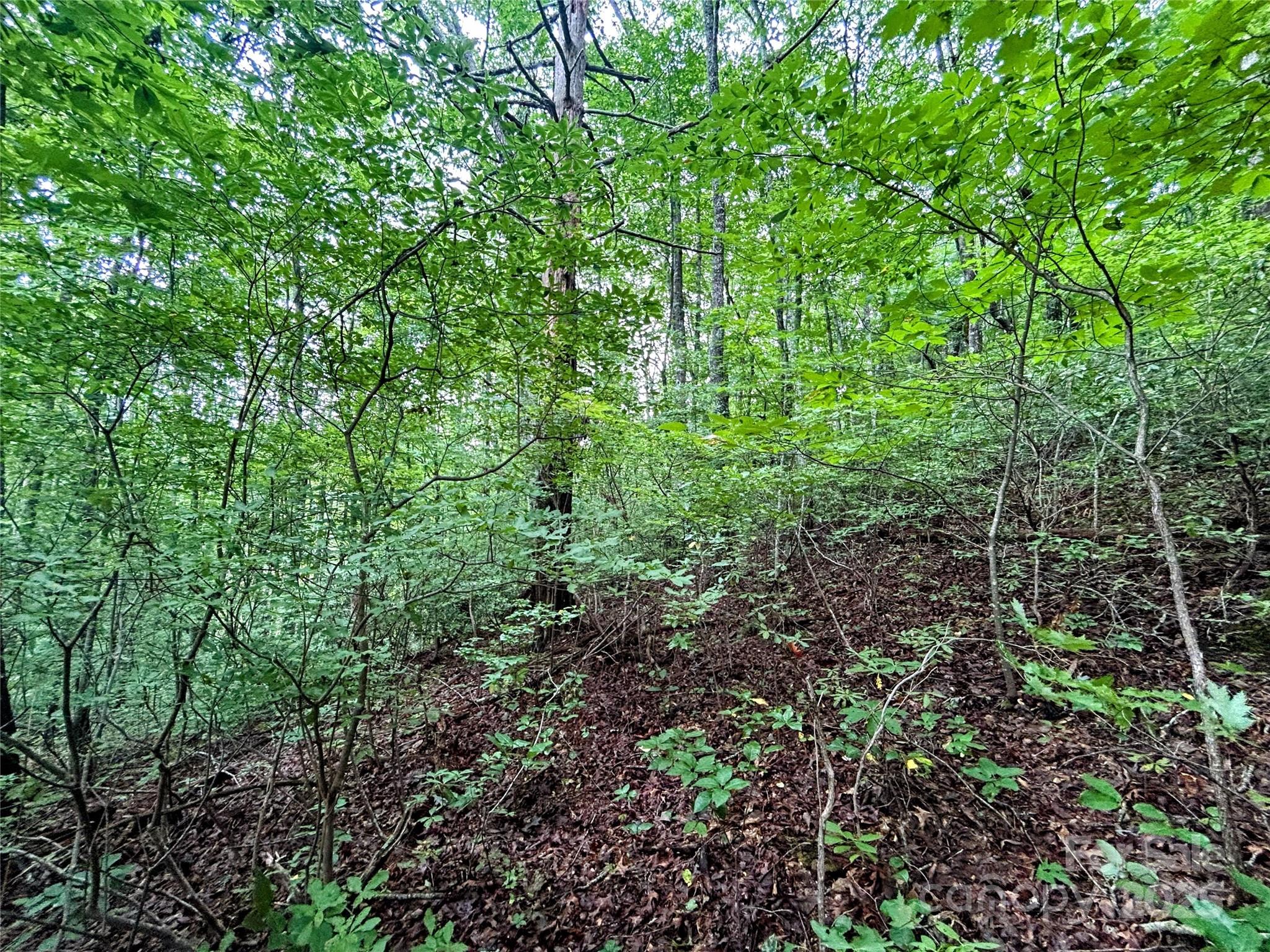 Lot 6 Azalea Way Property Photo 9