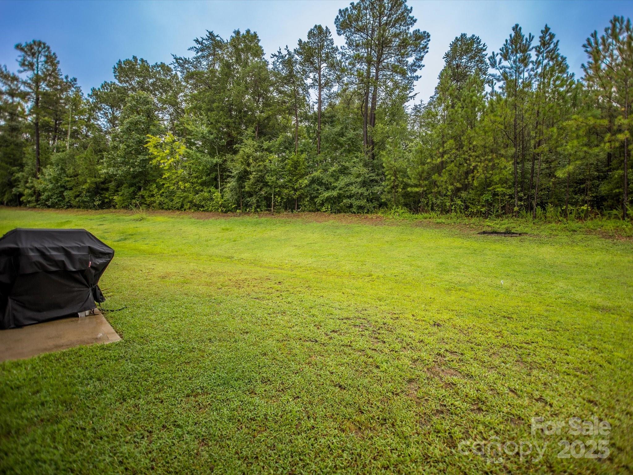 2424 Cranberry Way Property Photo 34