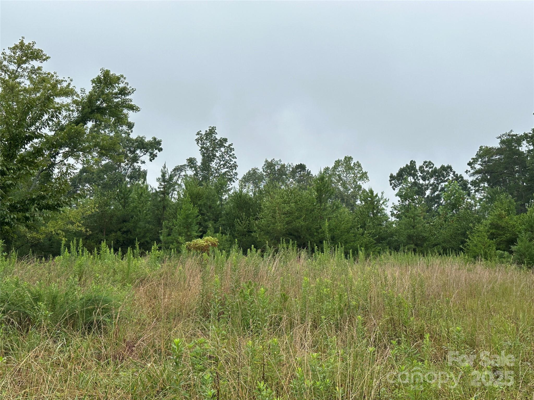 Lot 1 Celestial Drive Property Photo 2