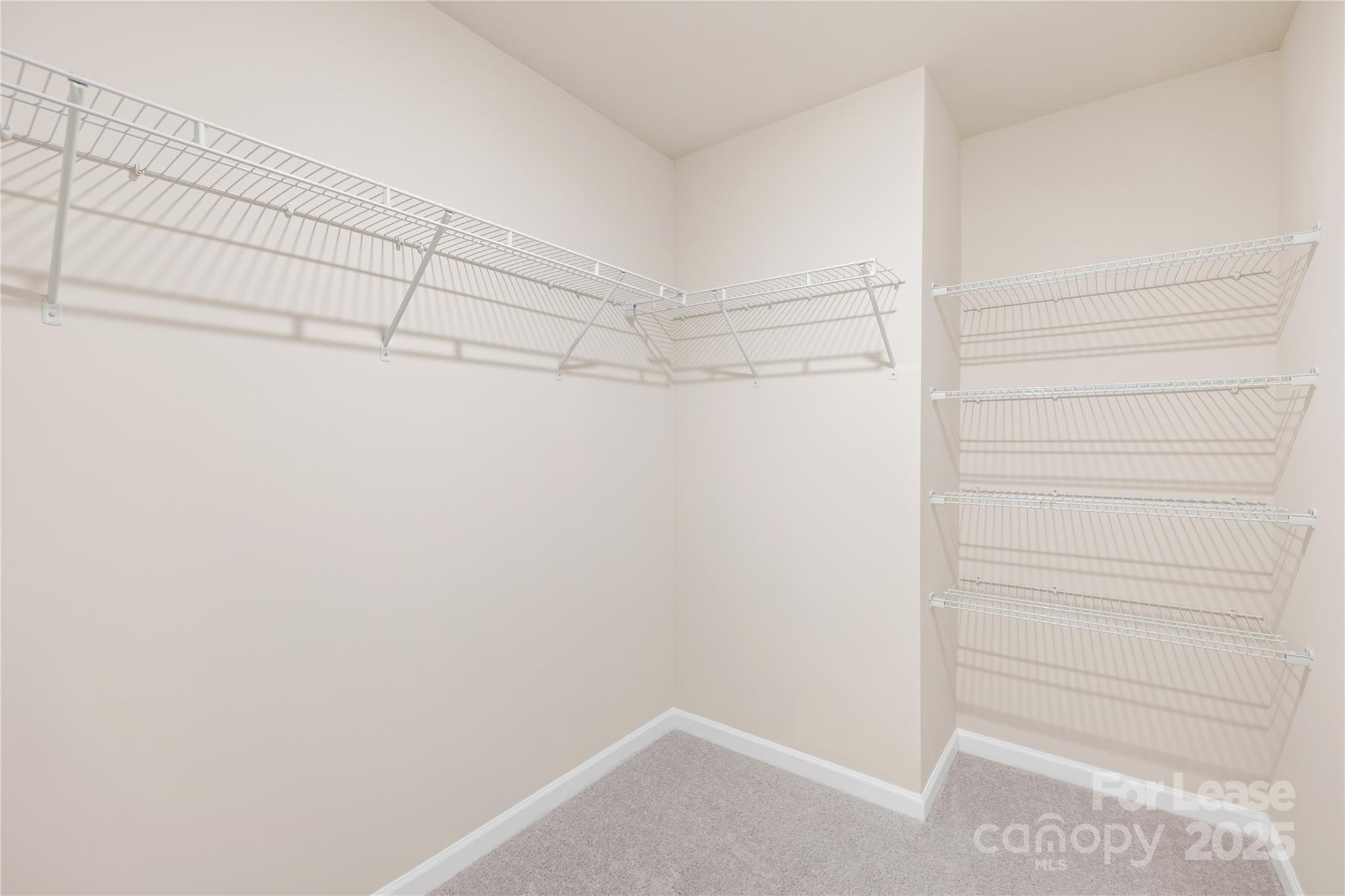 10159 Chatham Run Lane Property Photo 17