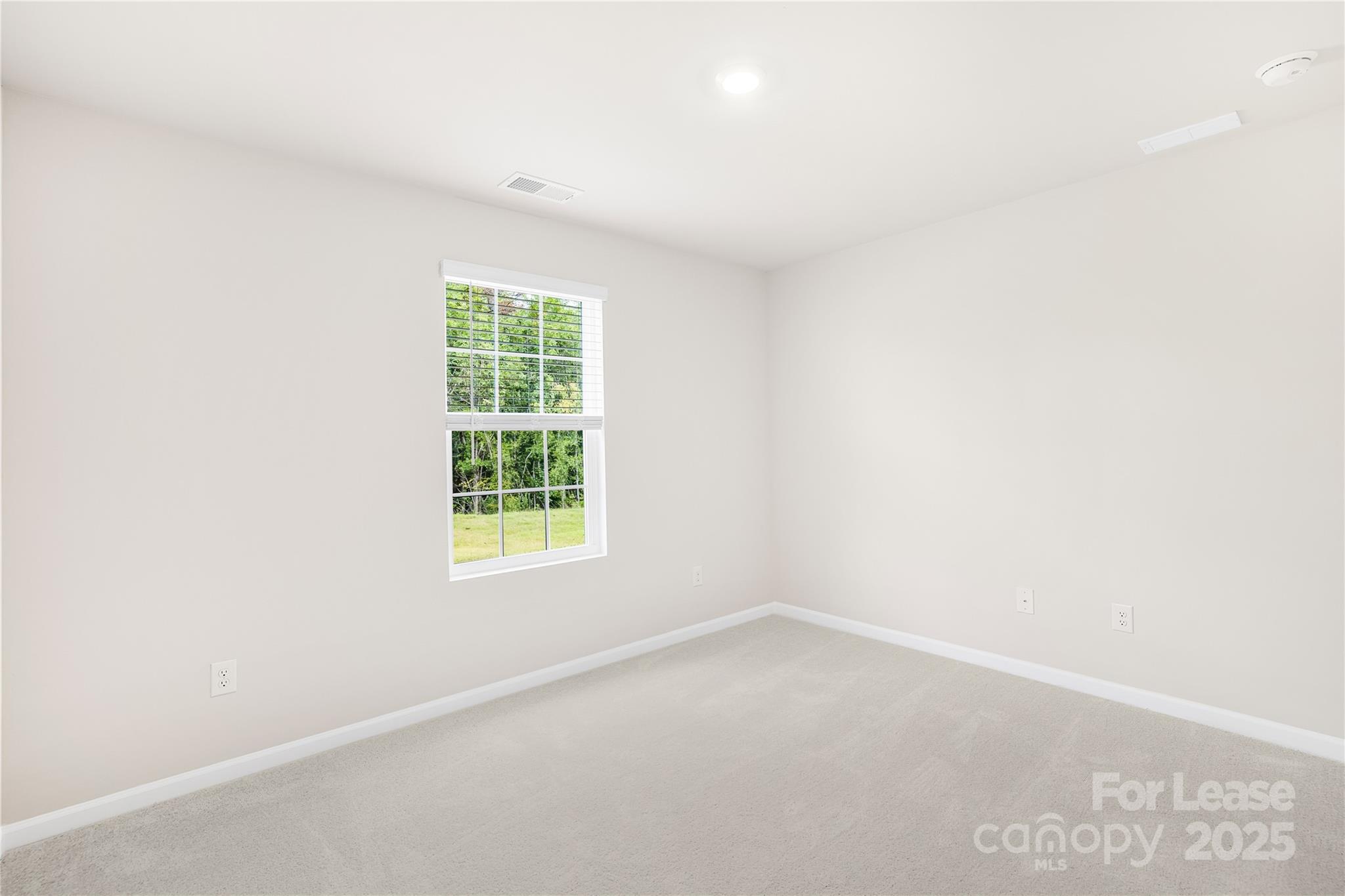 10159 Chatham Run Lane Property Photo 21