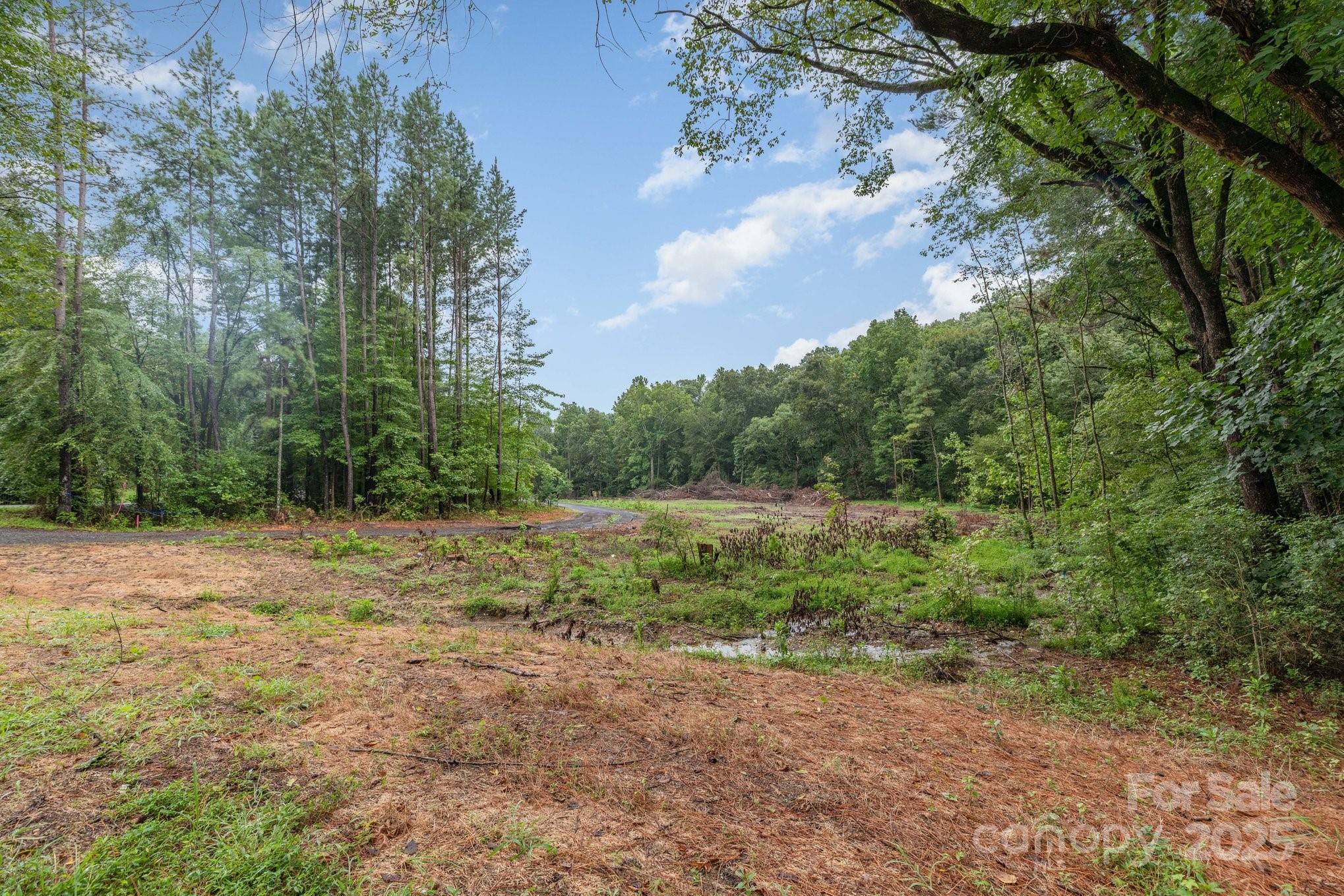 0000 Stony Gap Road Property Photo 3