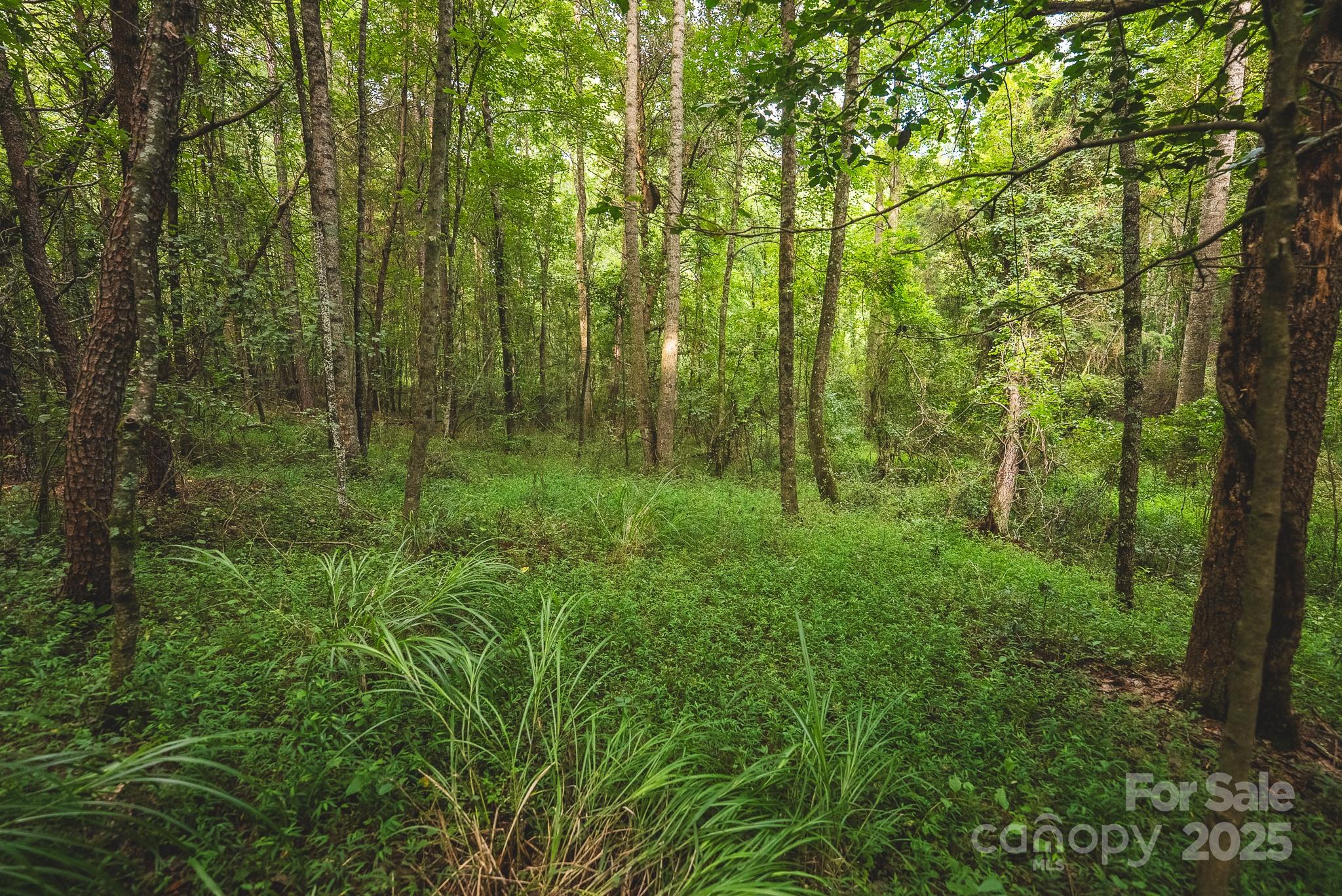 00 Johnson Ridge Road Property Photo 11