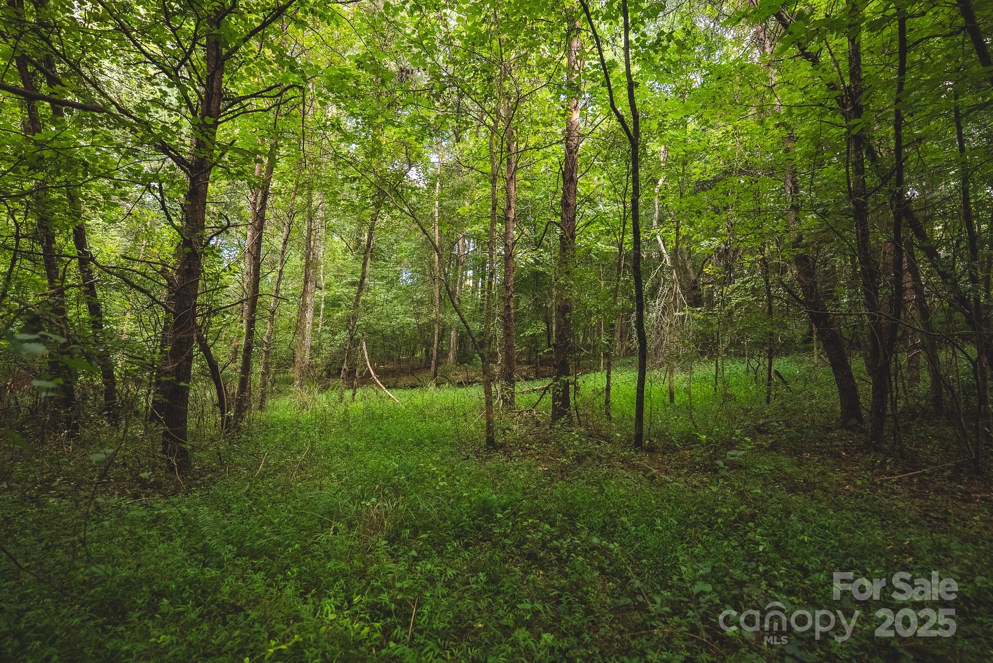 00 Johnson Ridge Road Property Photo 16