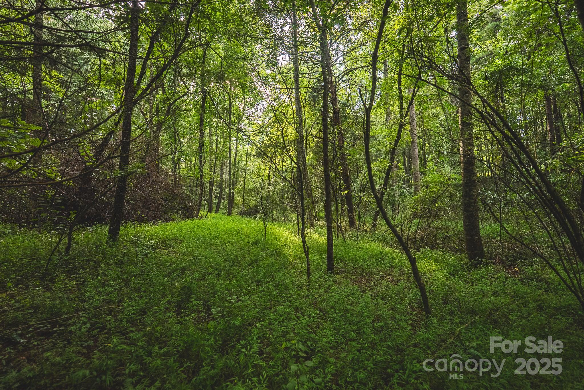 00 Johnson Ridge Road Property Photo 17