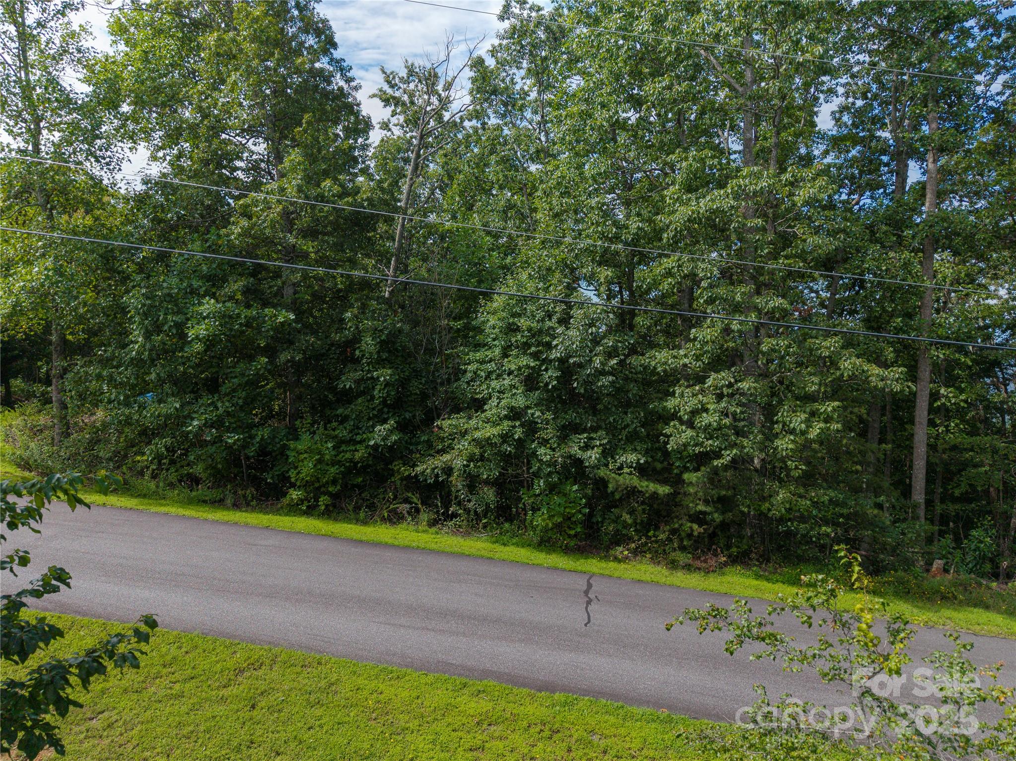 Lot 22 Arbra Mountain Way Property Photo 4