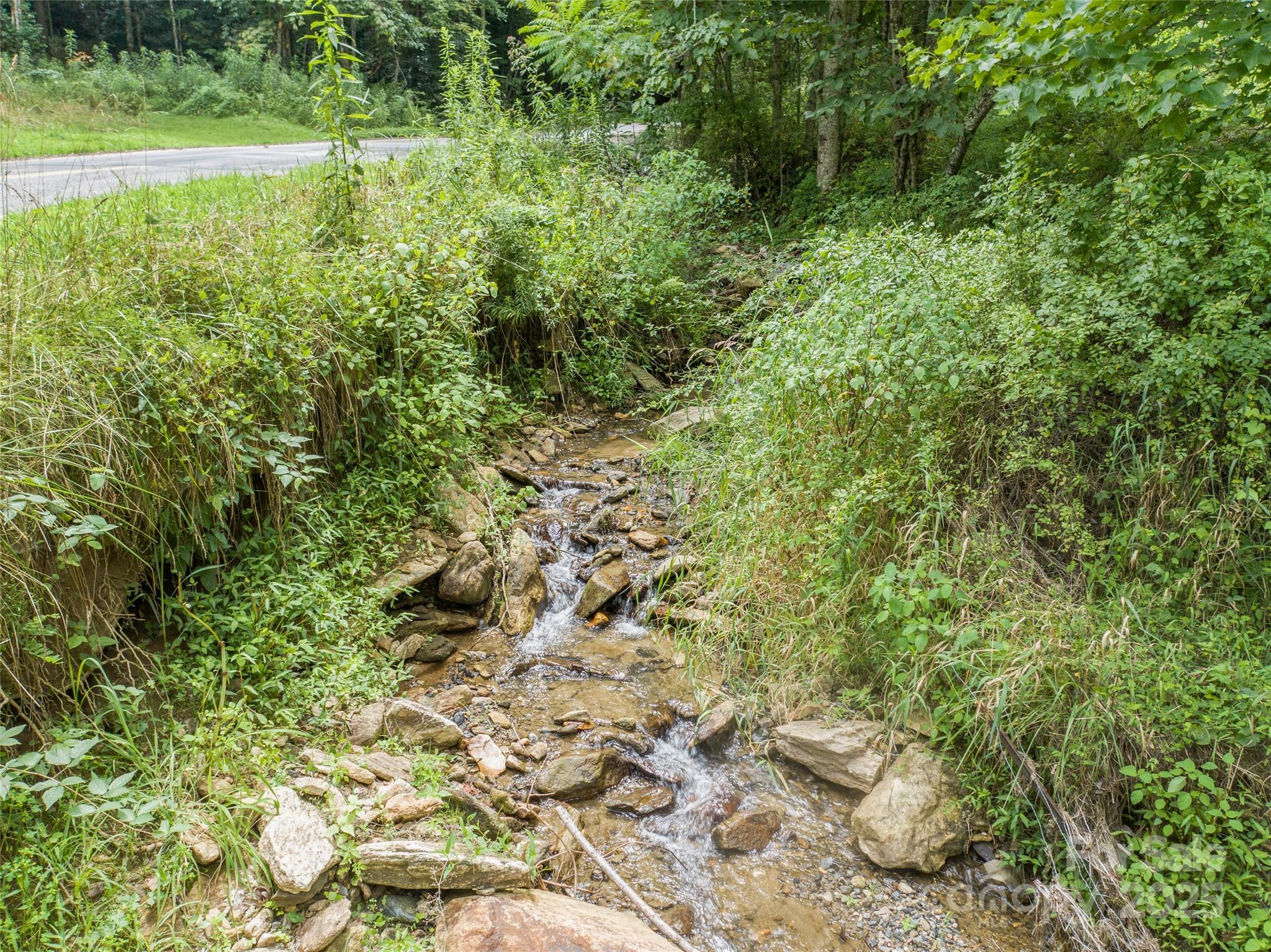 0000 Bee Log Road Property Photo 1