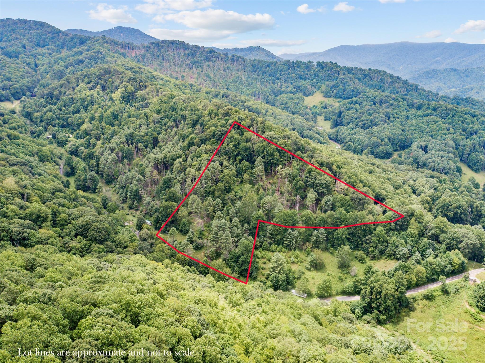 0000 Bee Log Road Property Photo 3