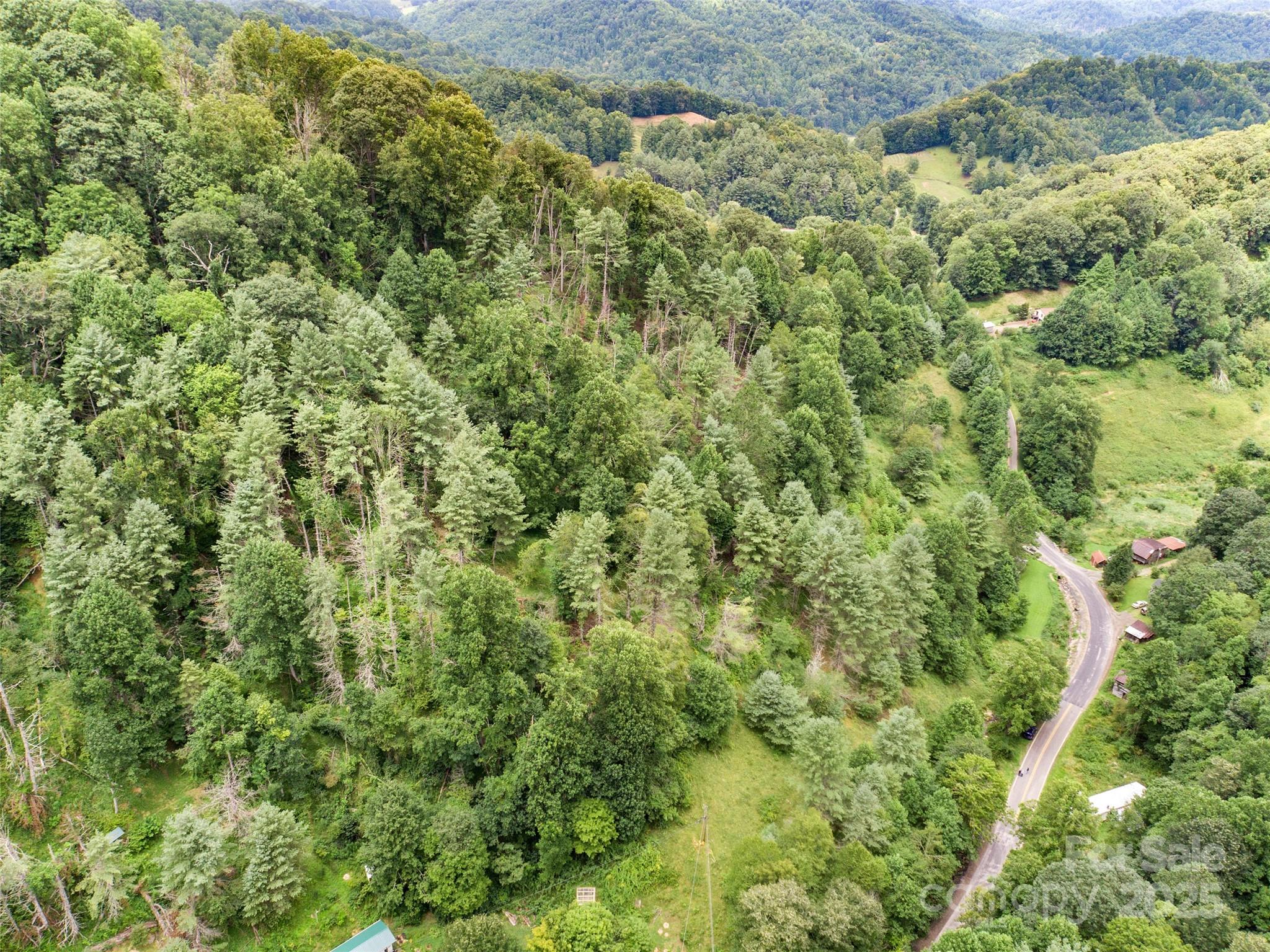 0000 Bee Log Road Property Photo 4