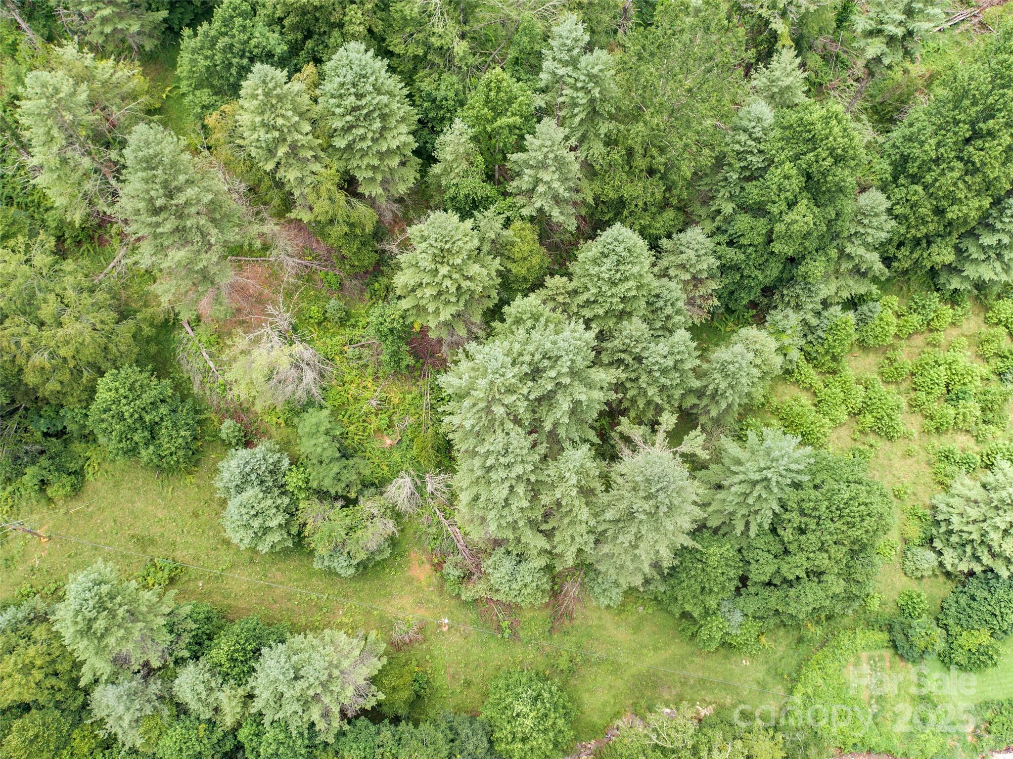 0000 Bee Log Road Property Photo 8