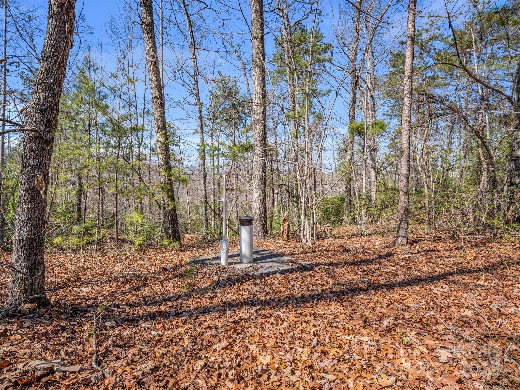 000 Forester Lane 21, 24, & 25 Property Photo 4