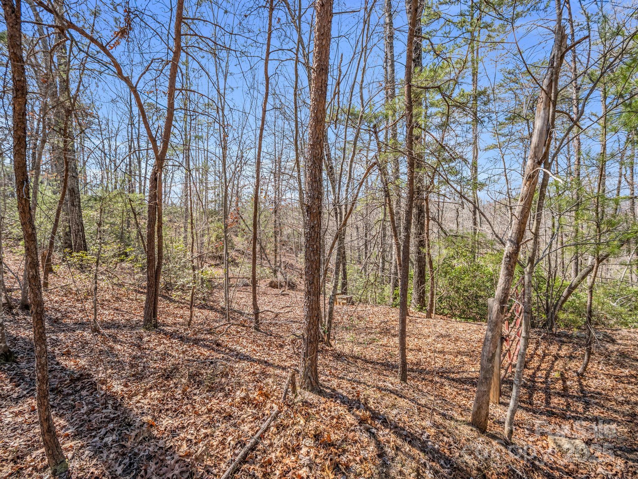 000 Forester Lane 21, 24, & 25 Property Photo 8