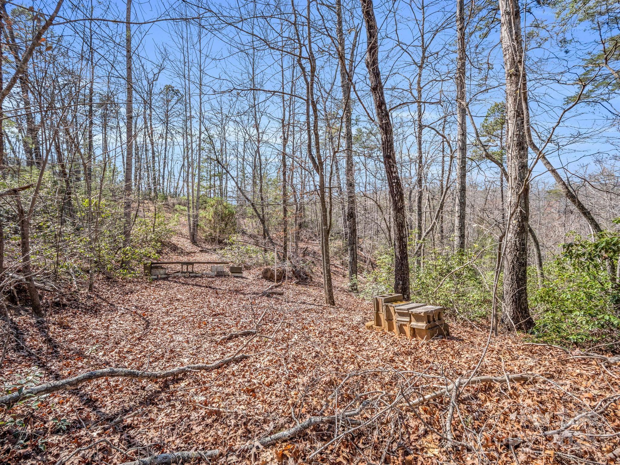 000 Forester Lane 21, 24, & 25 Property Photo 9