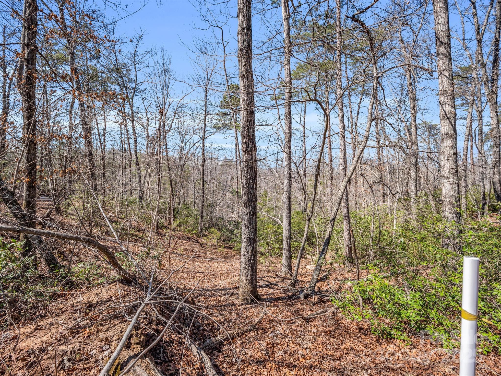 000 Forester Lane 21, 24, & 25 Property Photo 10