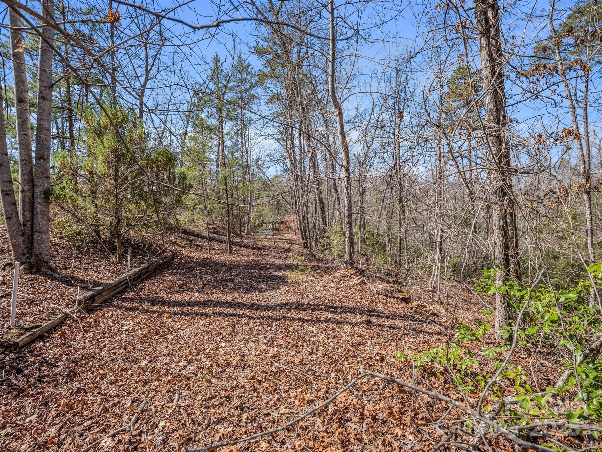 000 Forester Lane 21, 24, & 25 Property Photo 11