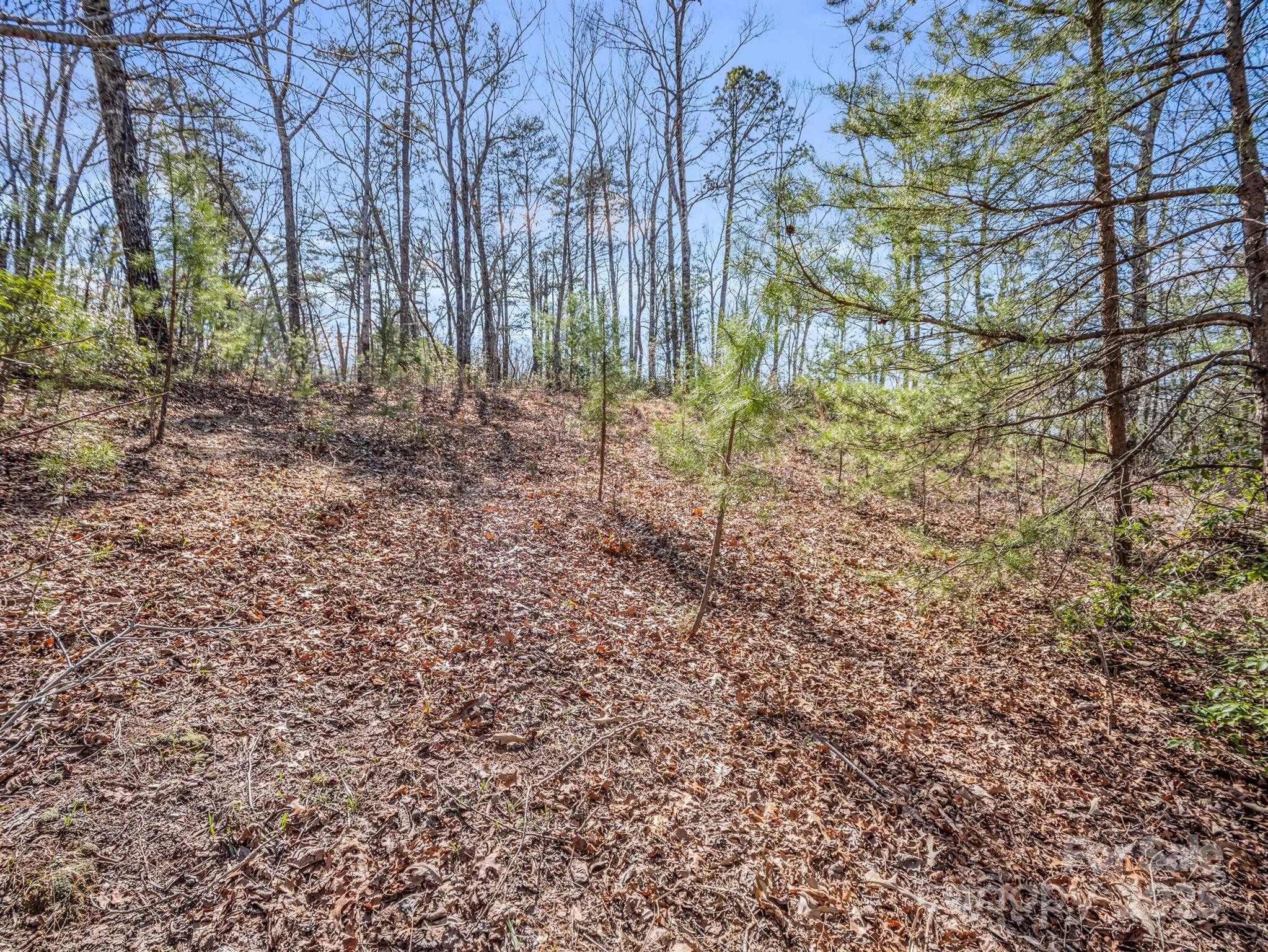 000 Forester Lane 21, 24, & 25 Property Photo 12